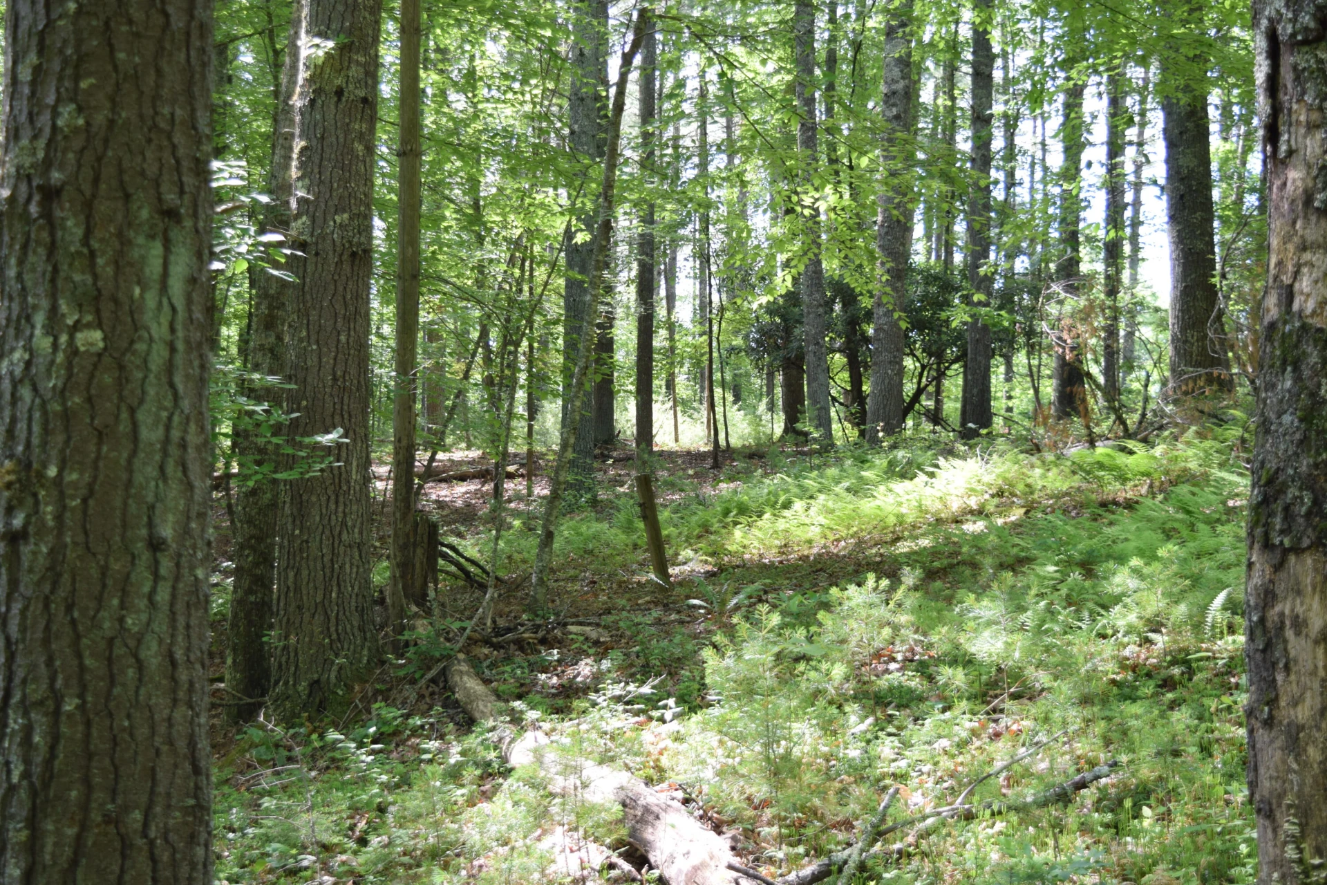 1866 Firehouse RD - Photo 27