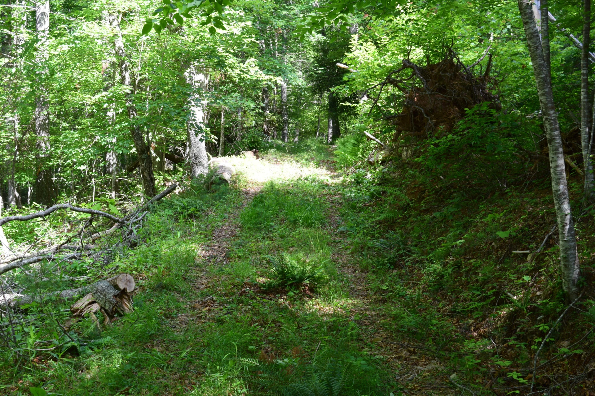 1866 Firehouse RD - Photo 29