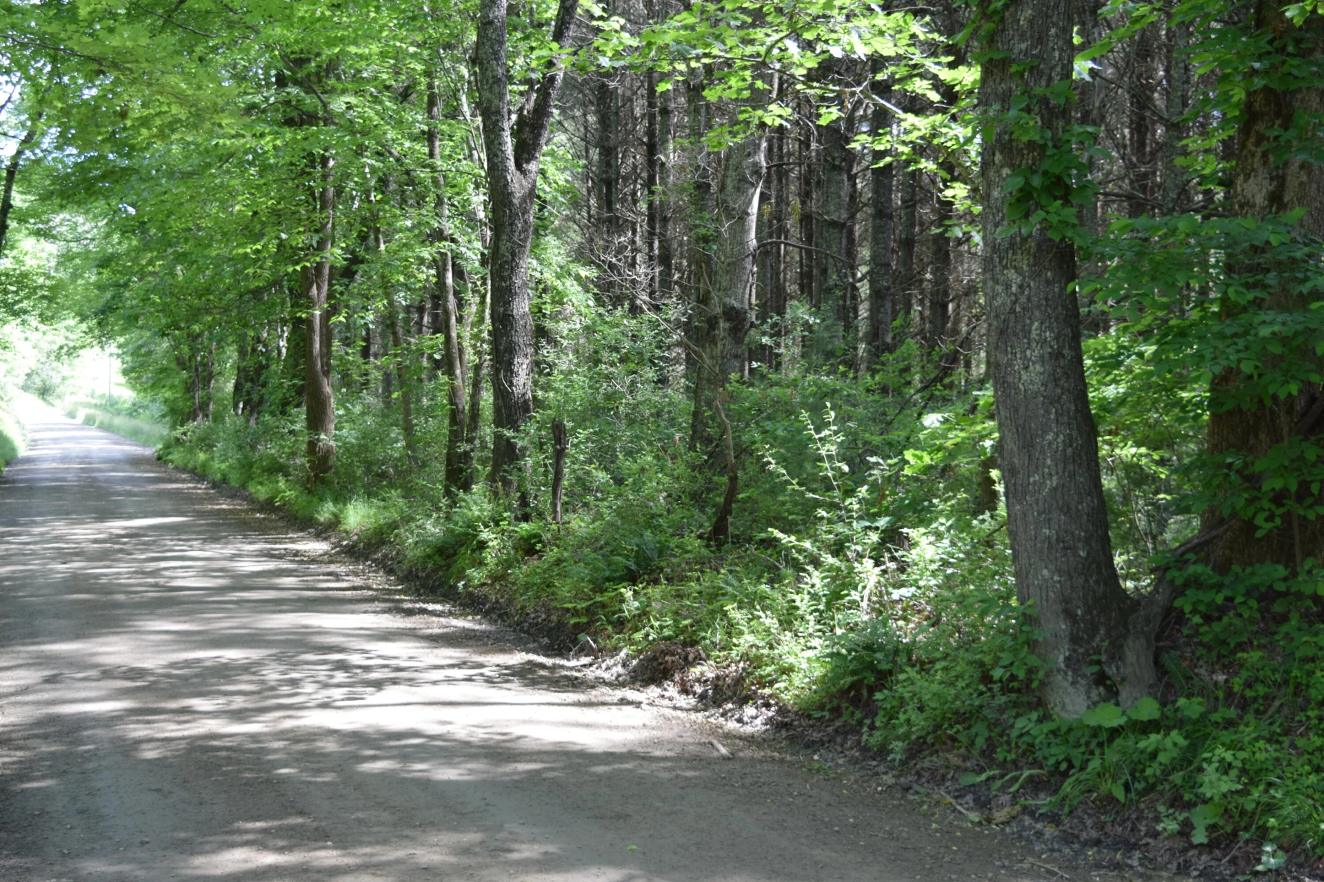 1866 Firehouse RD - Photo 3