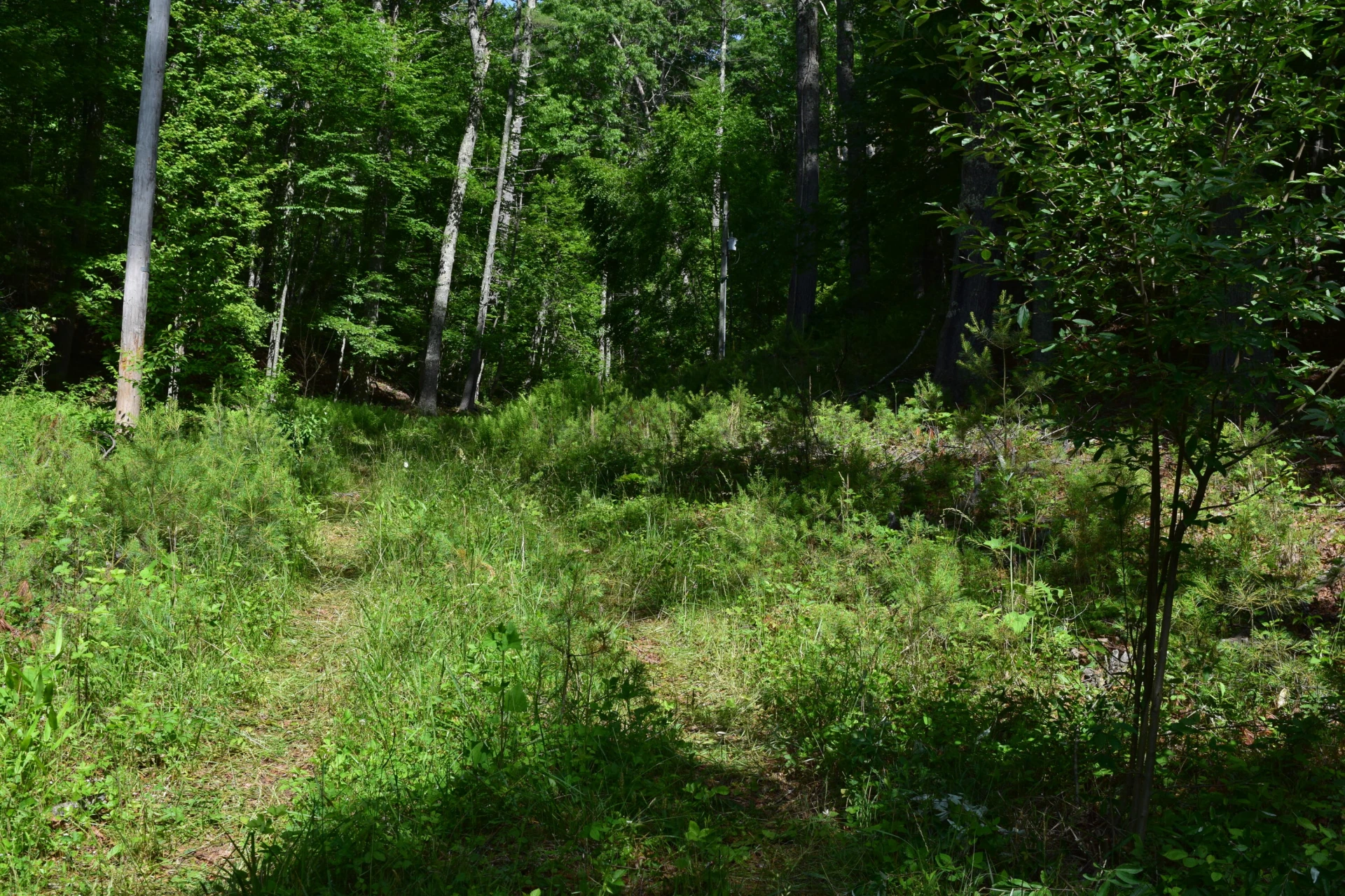 1866 Firehouse RD - Photo 30