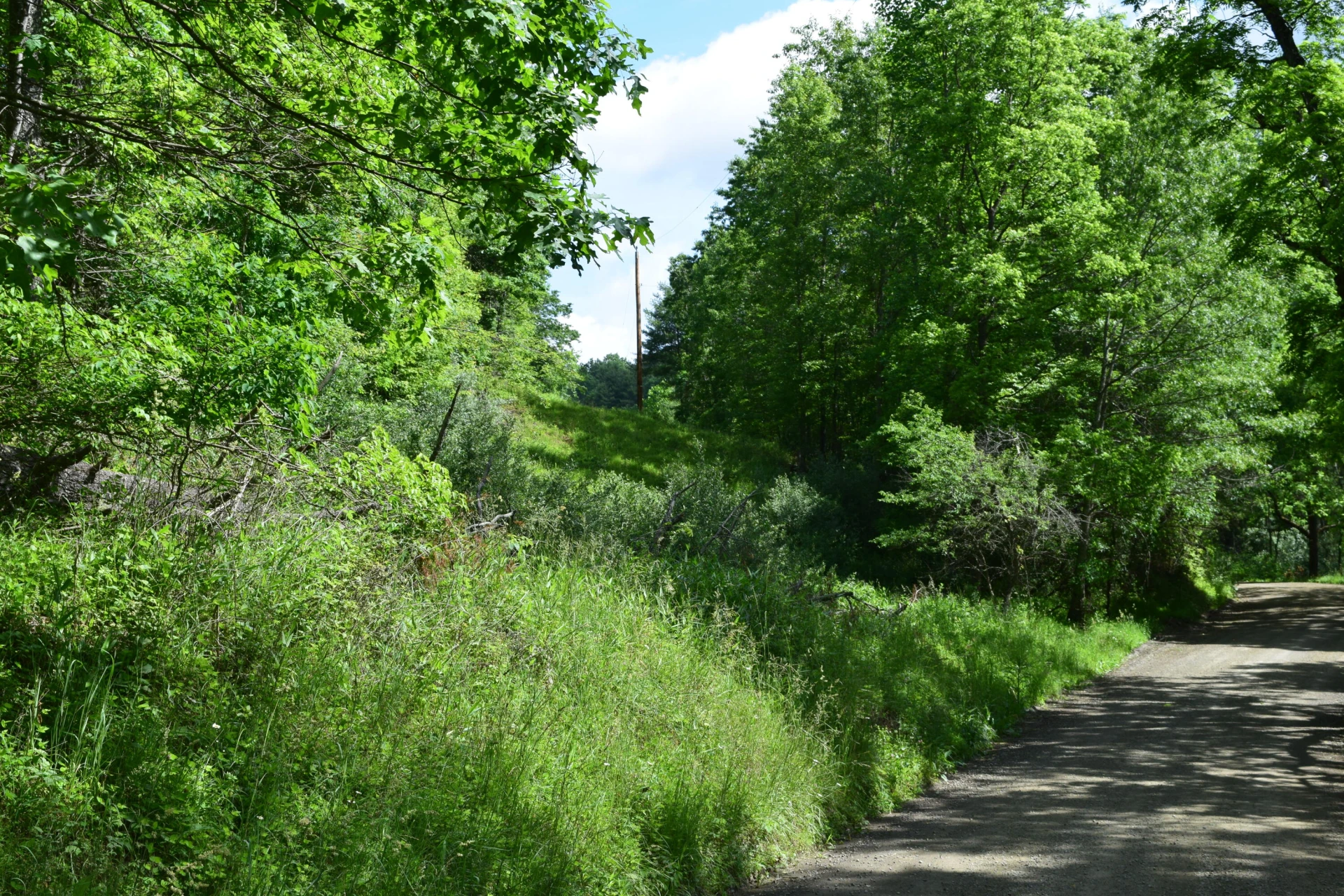 1866 Firehouse RD - Photo 33