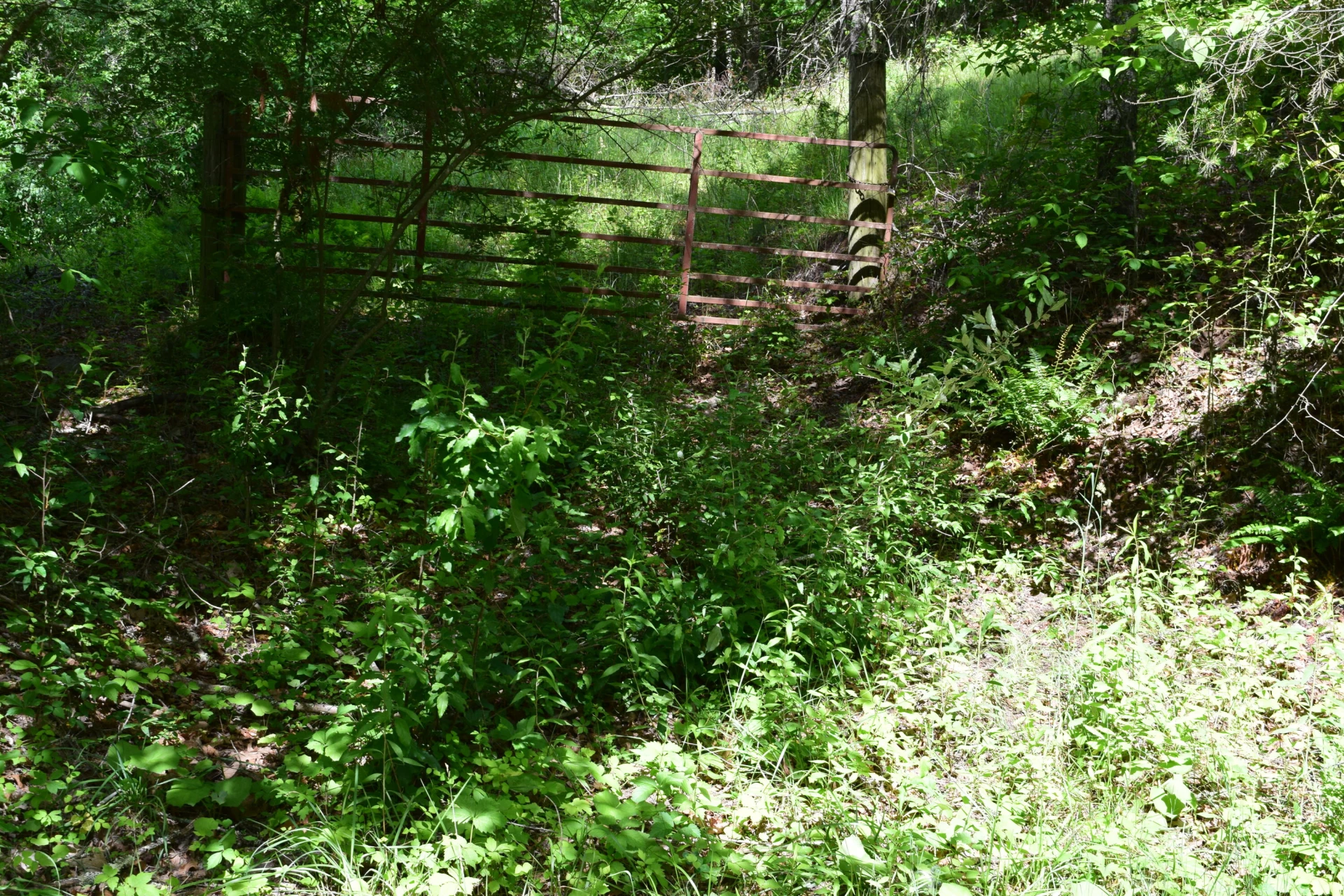 1866 Firehouse RD - Photo 34