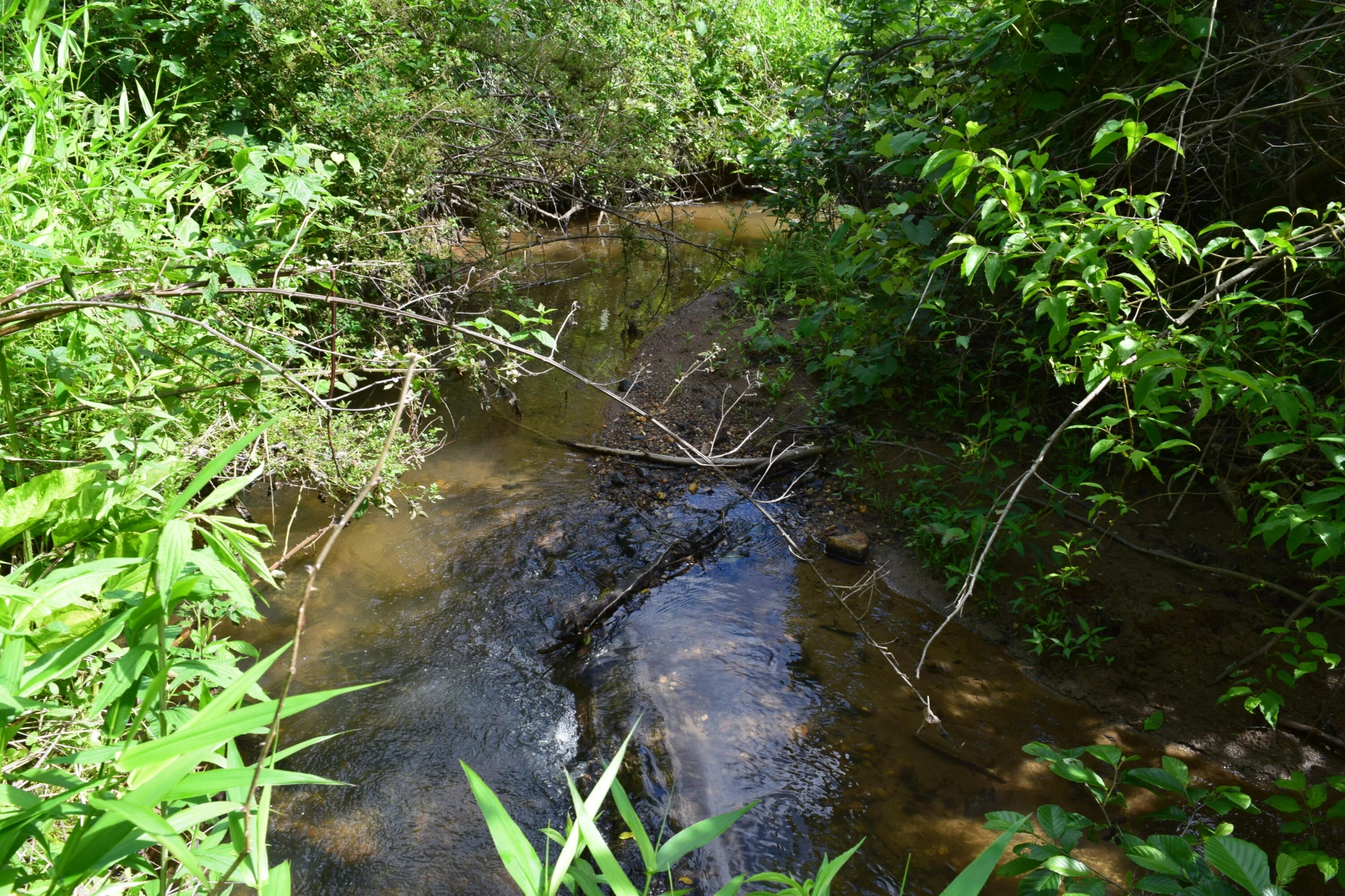 1866 Firehouse RD - Photo 37