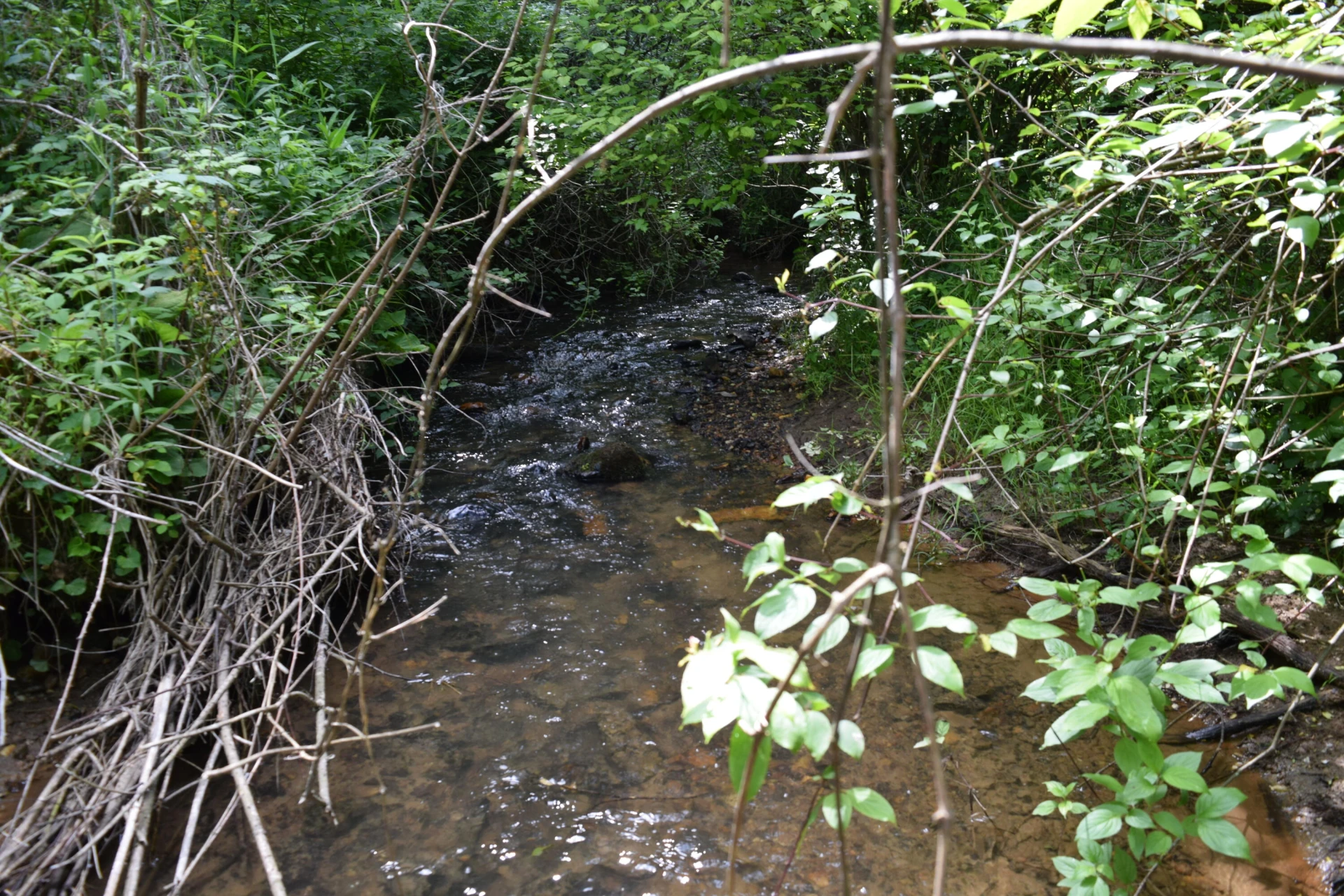 1866 Firehouse RD - Photo 39
