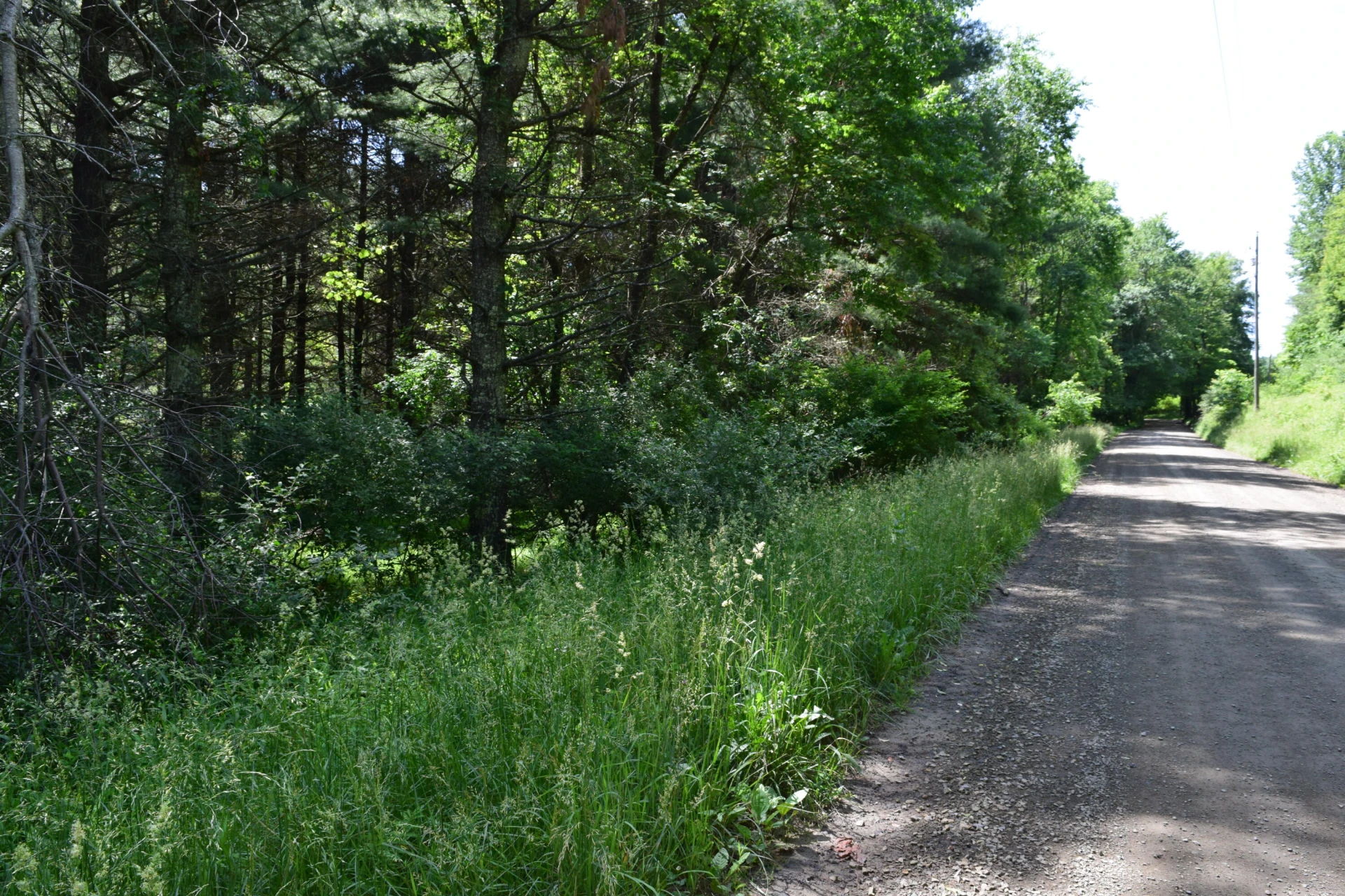 1866 Firehouse RD - Photo 4