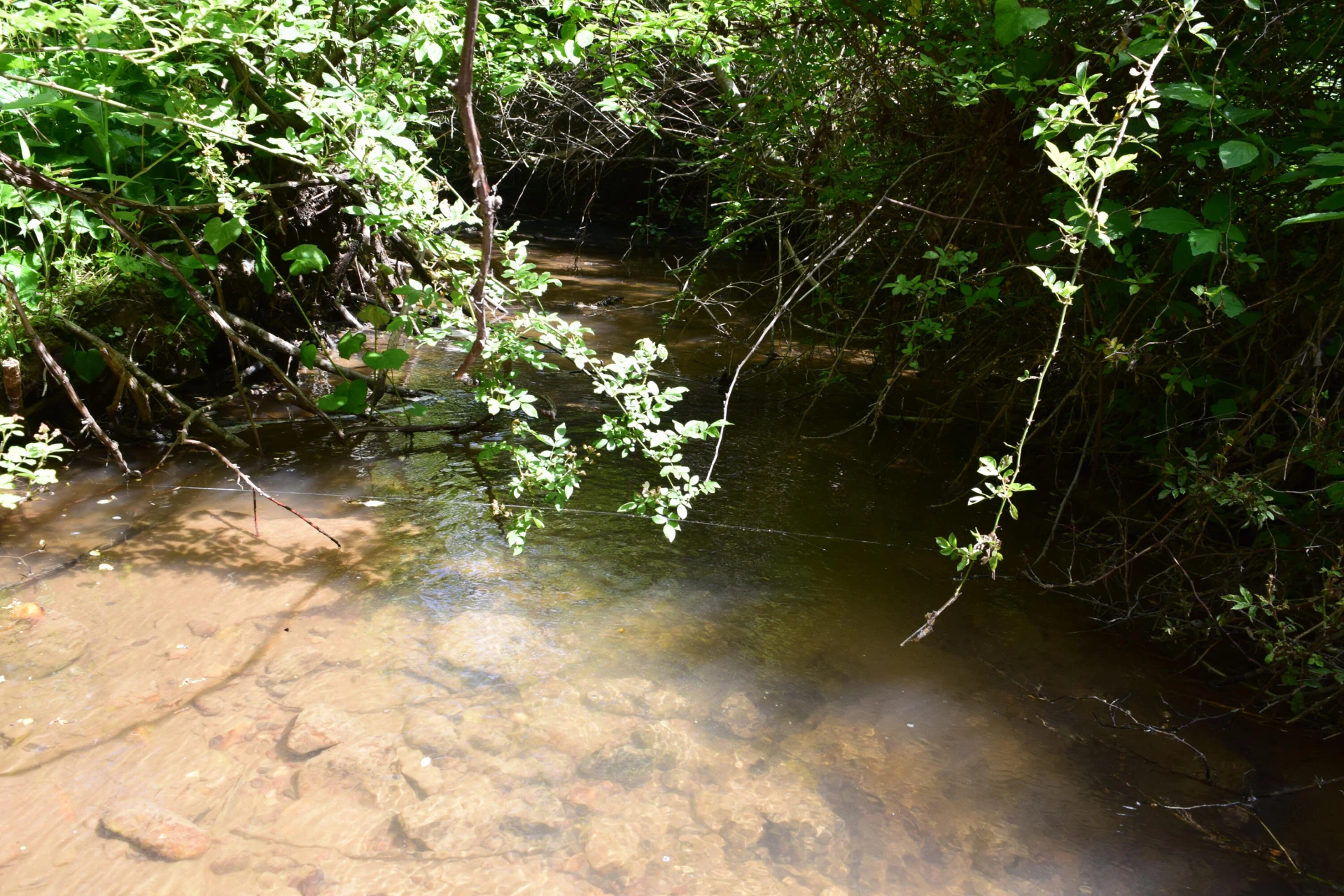 1866 Firehouse RD - Photo 40