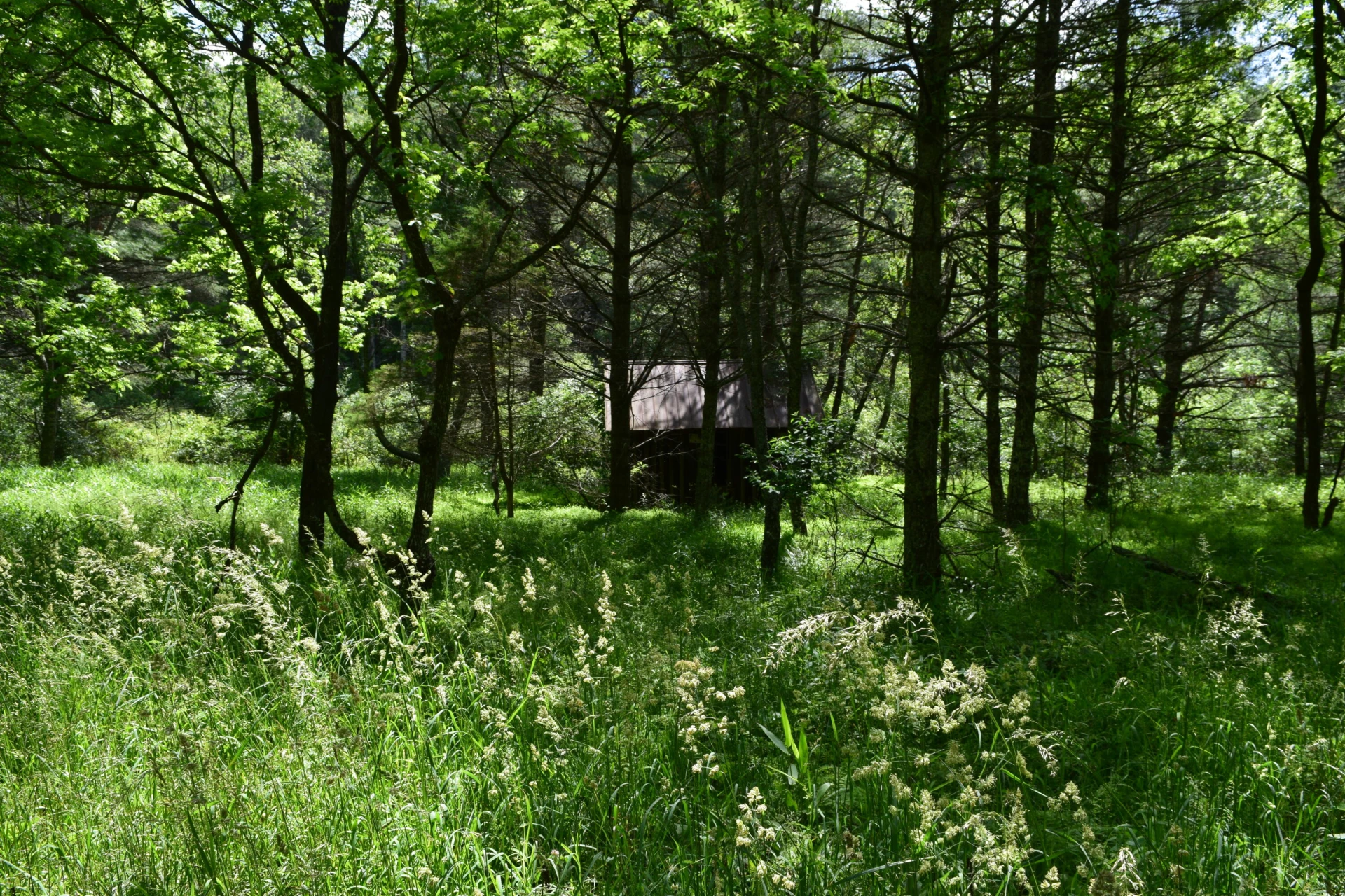 1866 Firehouse RD - Photo 42