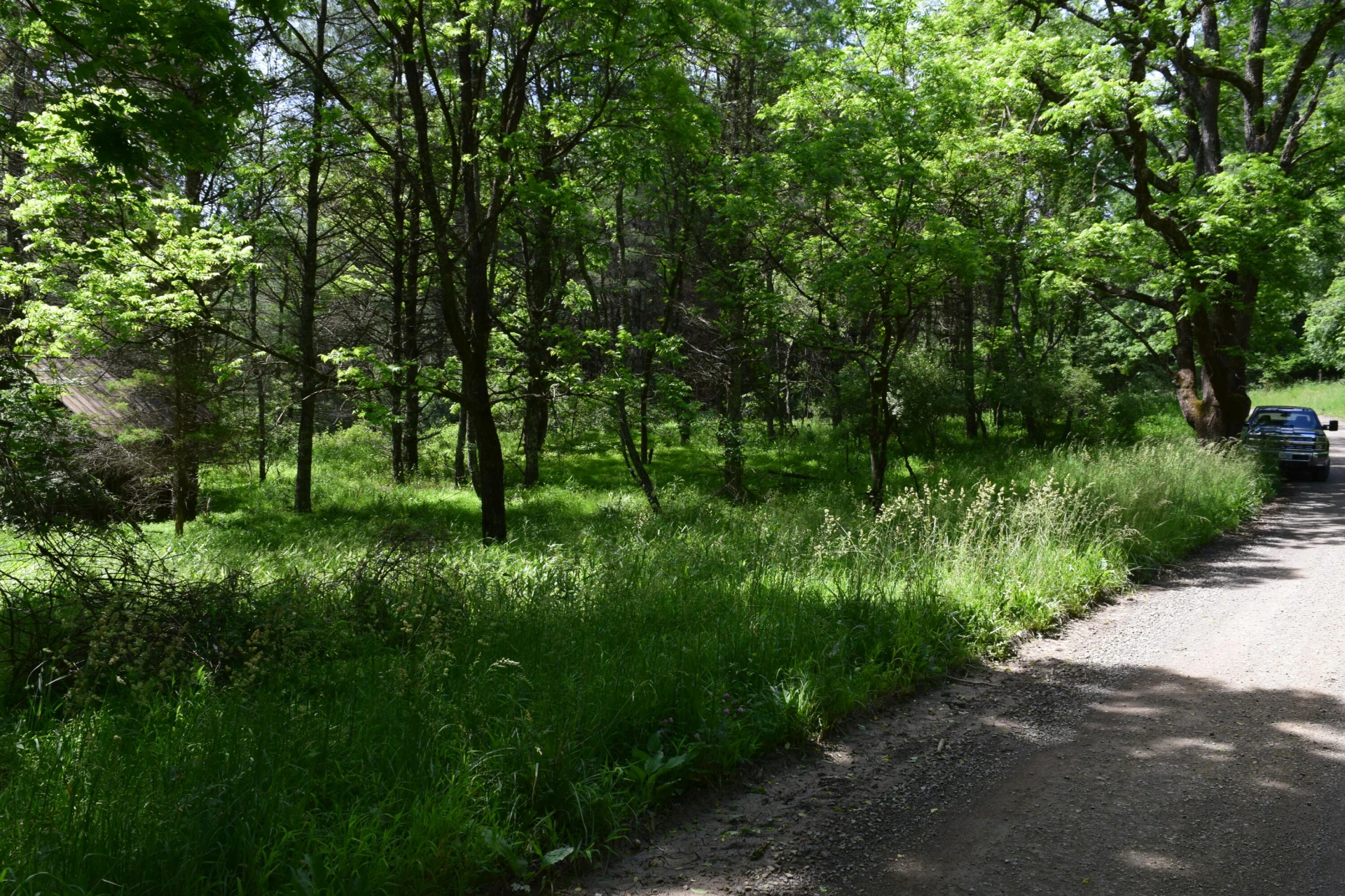 1866 Firehouse RD - Photo 45