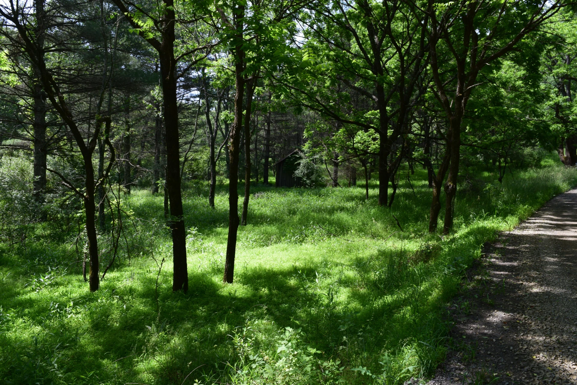 1866 Firehouse RD - Photo 46