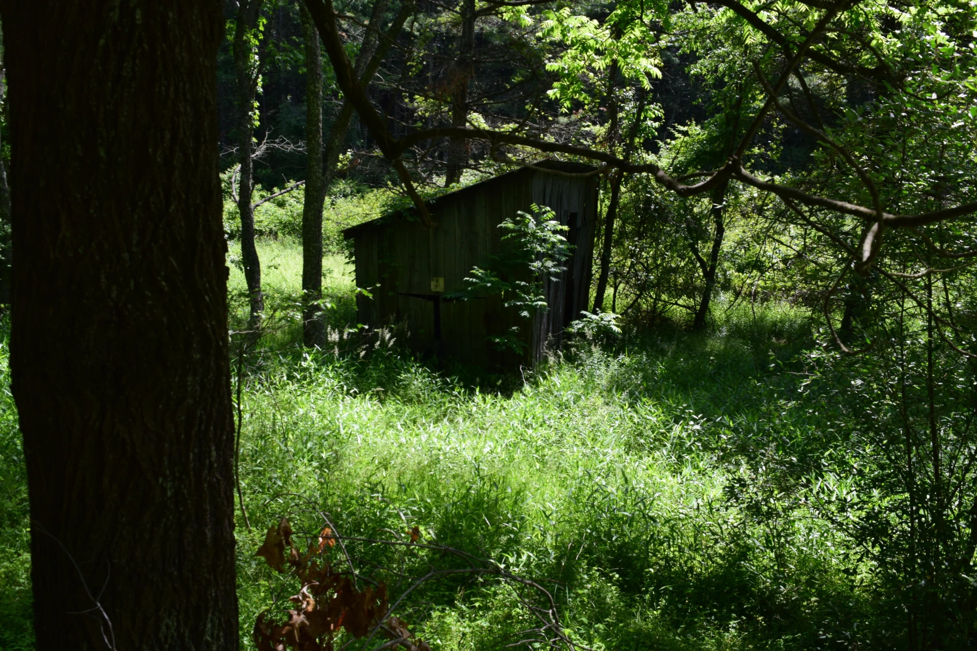 1866 Firehouse RD - Photo 47
