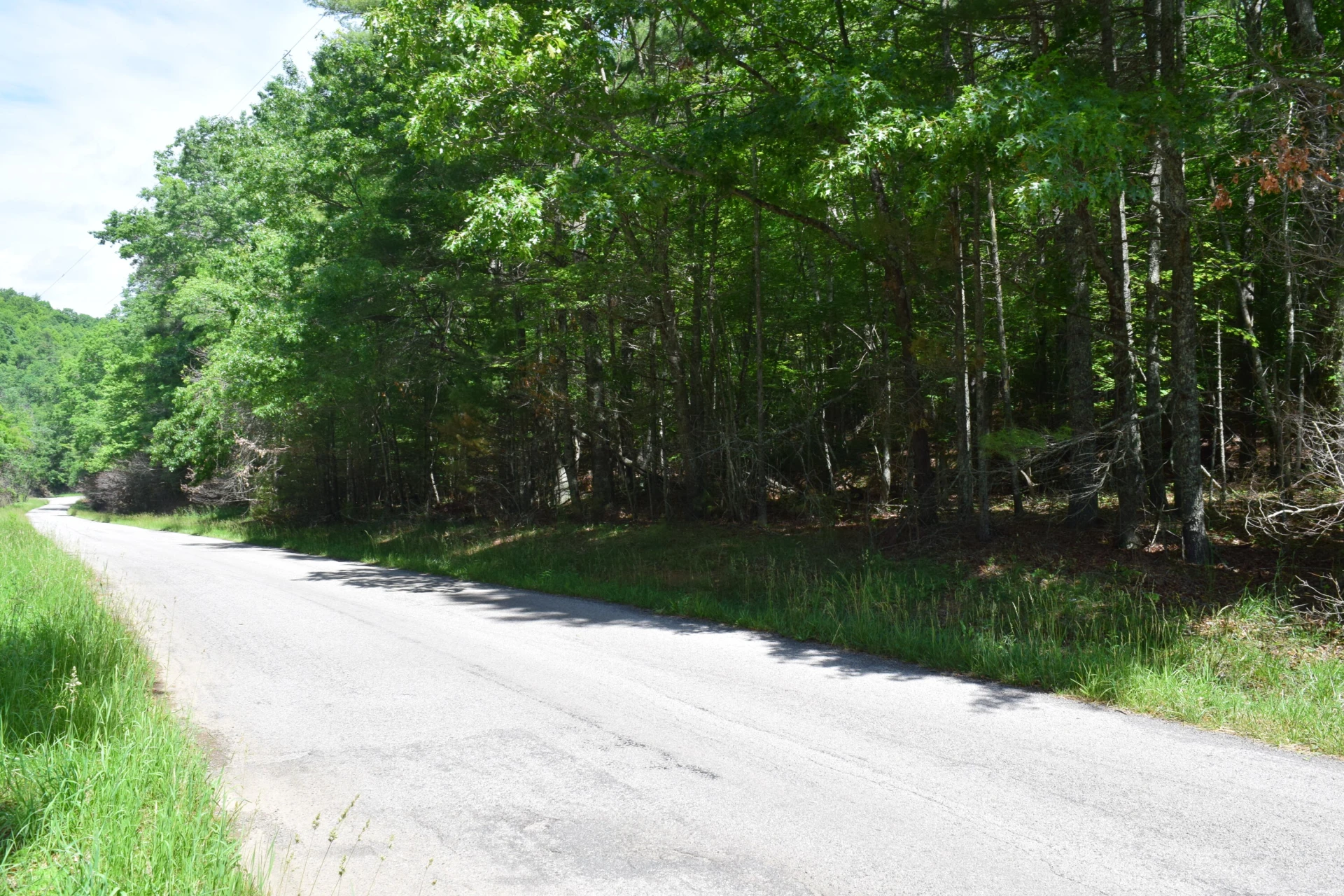 1866 Firehouse RD - Photo 5