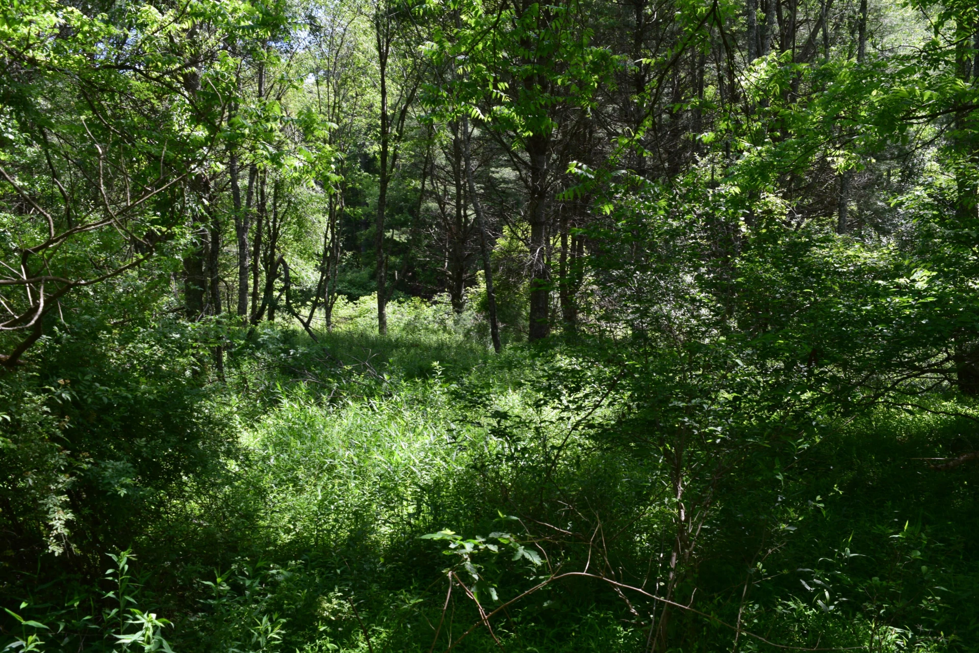 1866 Firehouse RD - Photo 51