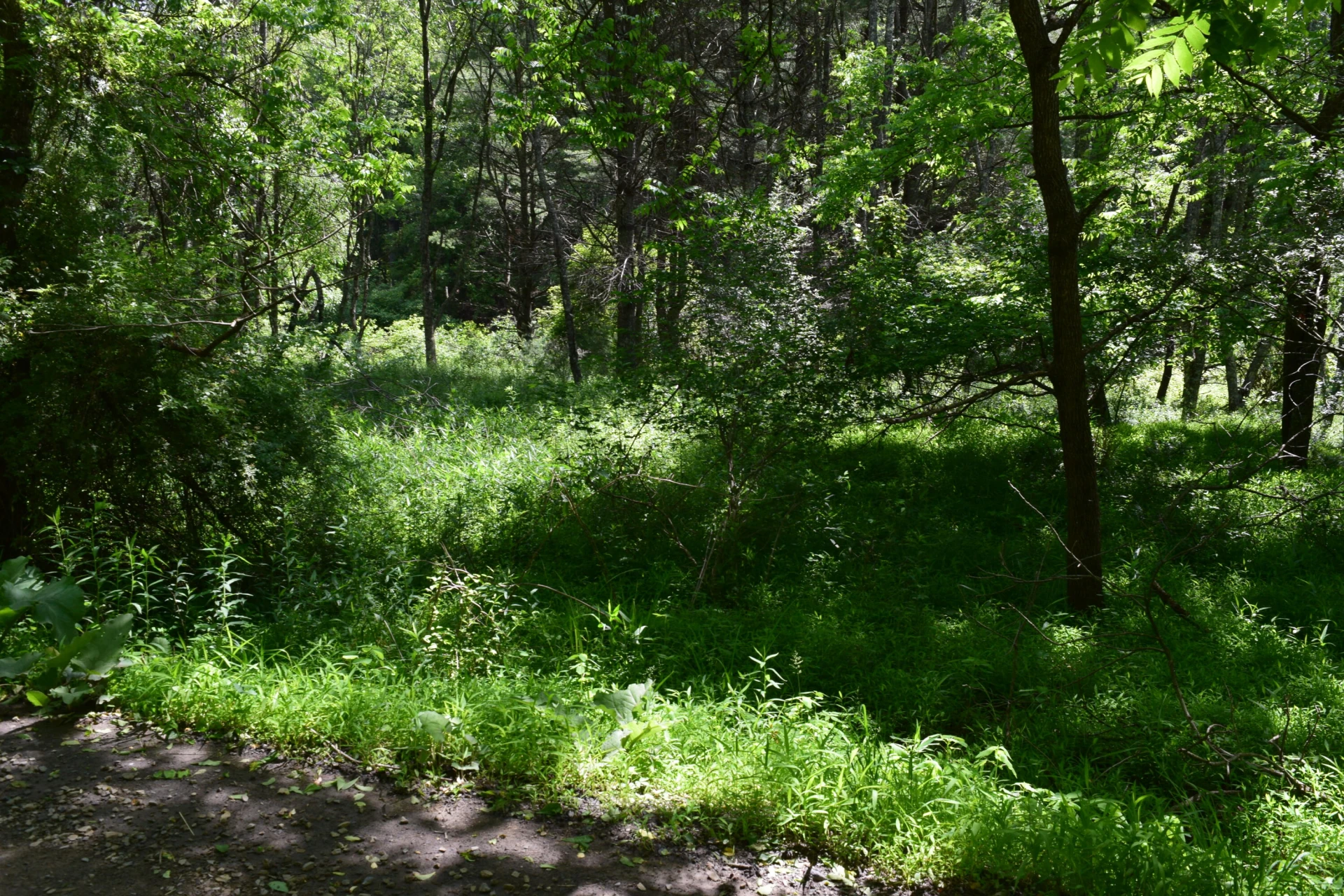 1866 Firehouse RD - Photo 52