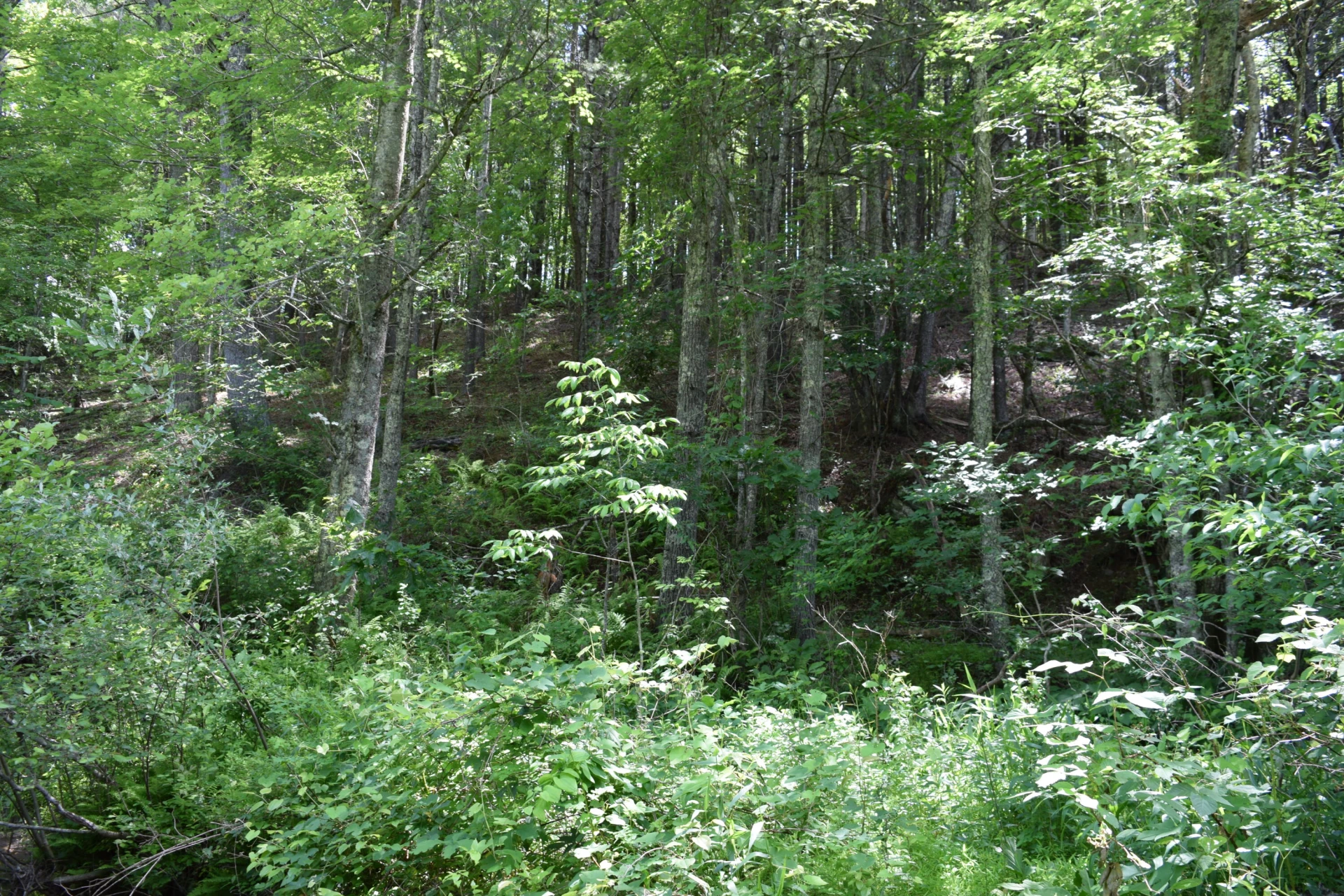 1866 Firehouse RD - Photo 58