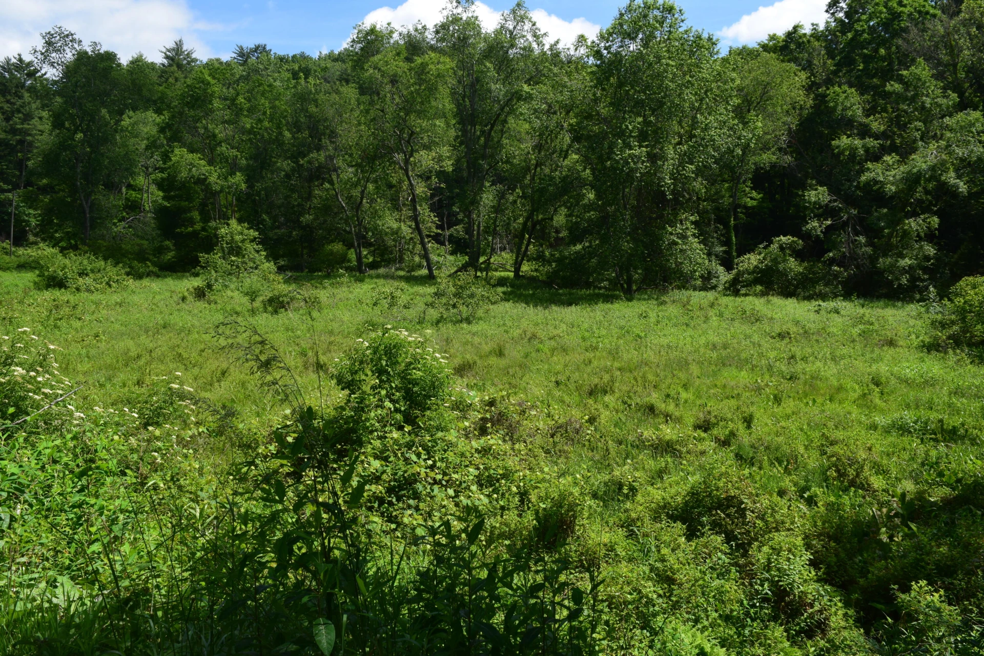 1866 Firehouse RD - Photo 60