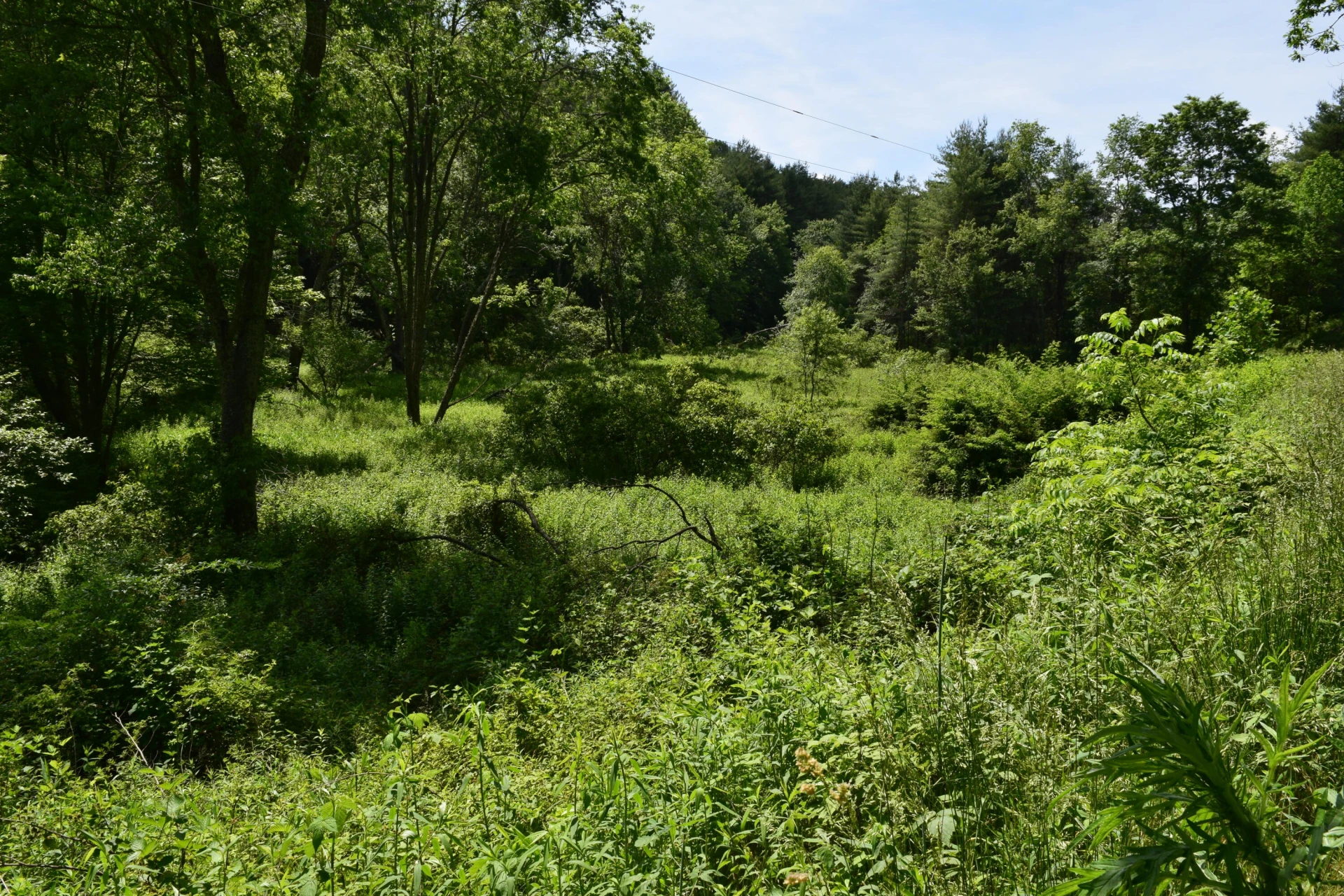 1866 Firehouse RD - Photo 61