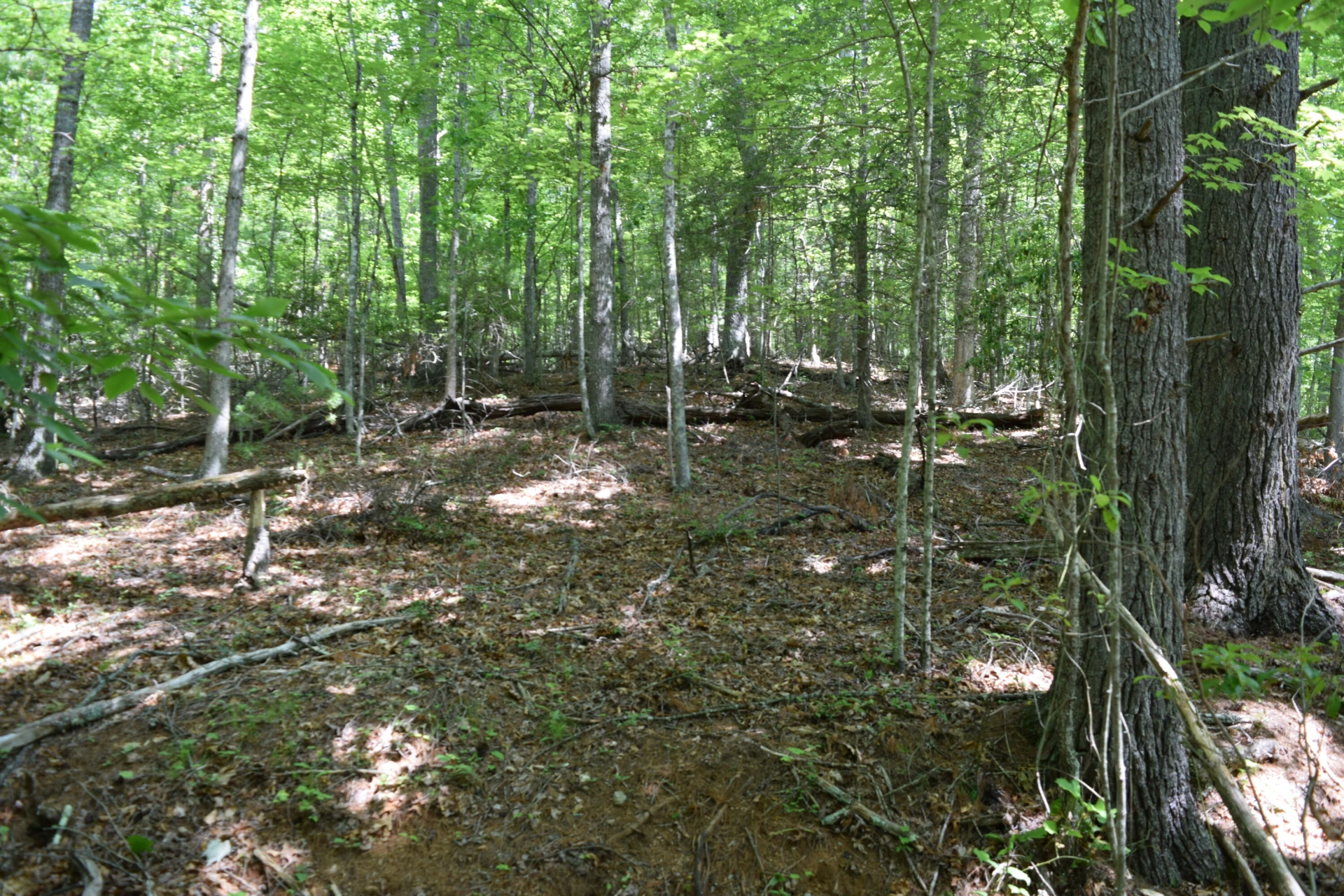 1866 Firehouse RD - Photo 63