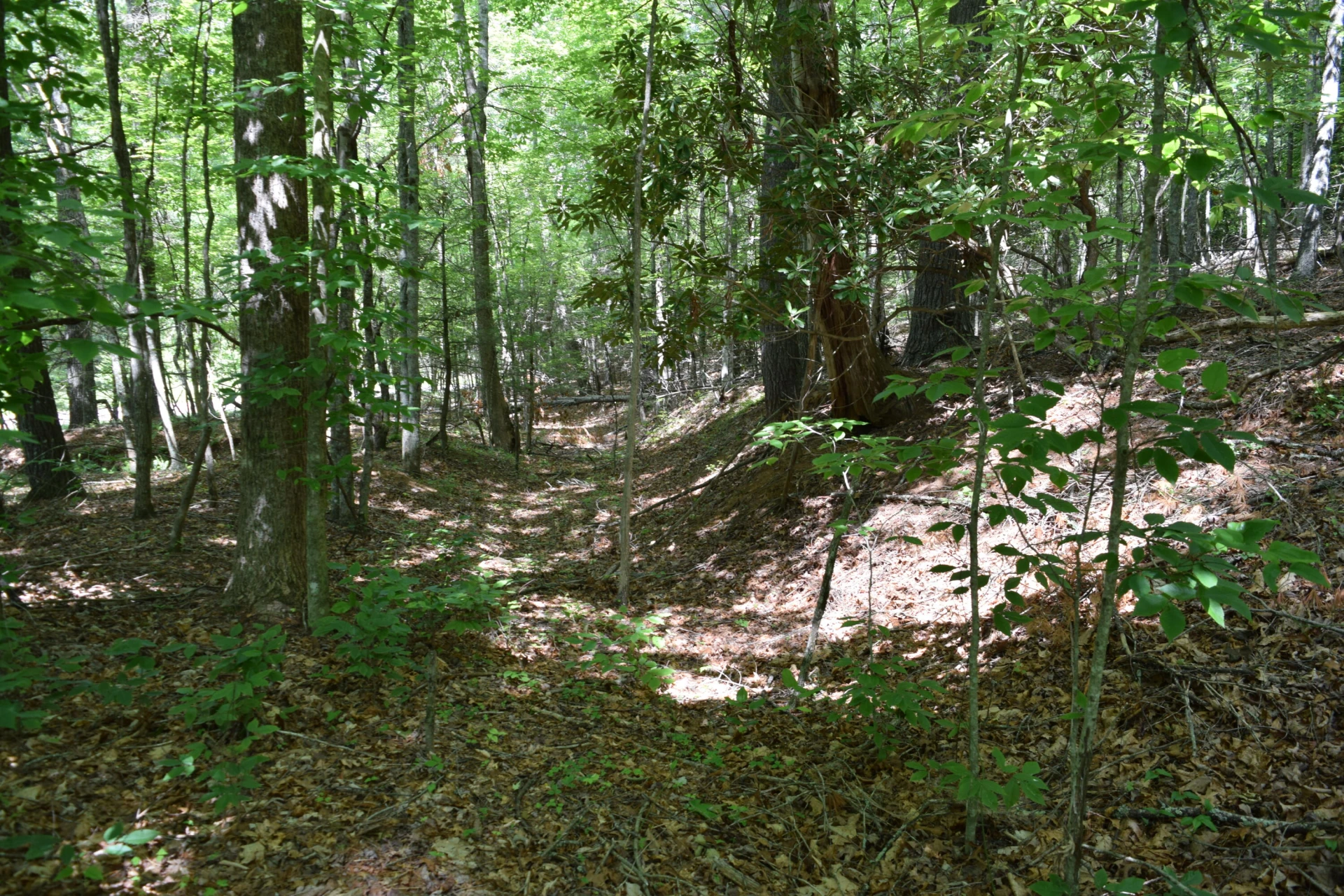 1866 Firehouse RD - Photo 64