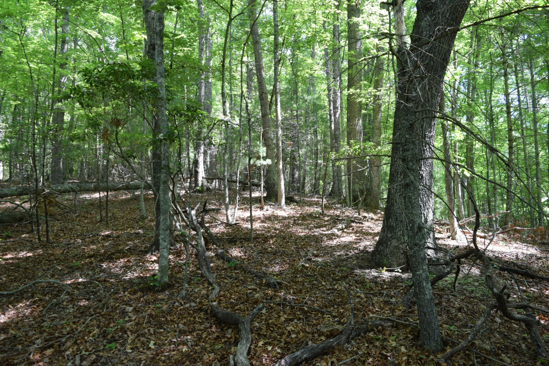 1866 Firehouse RD - Photo 65