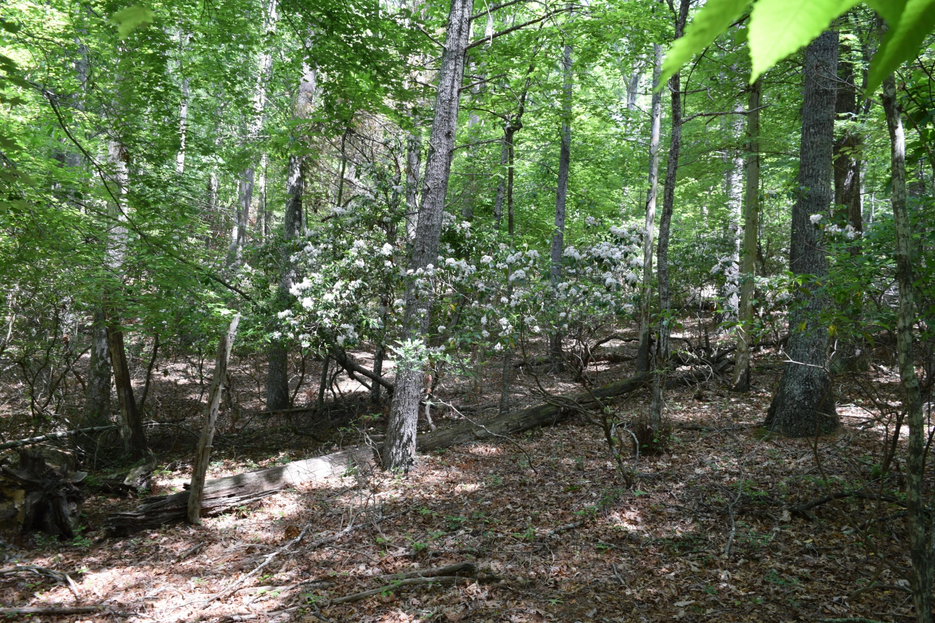 1866 Firehouse RD - Photo 70