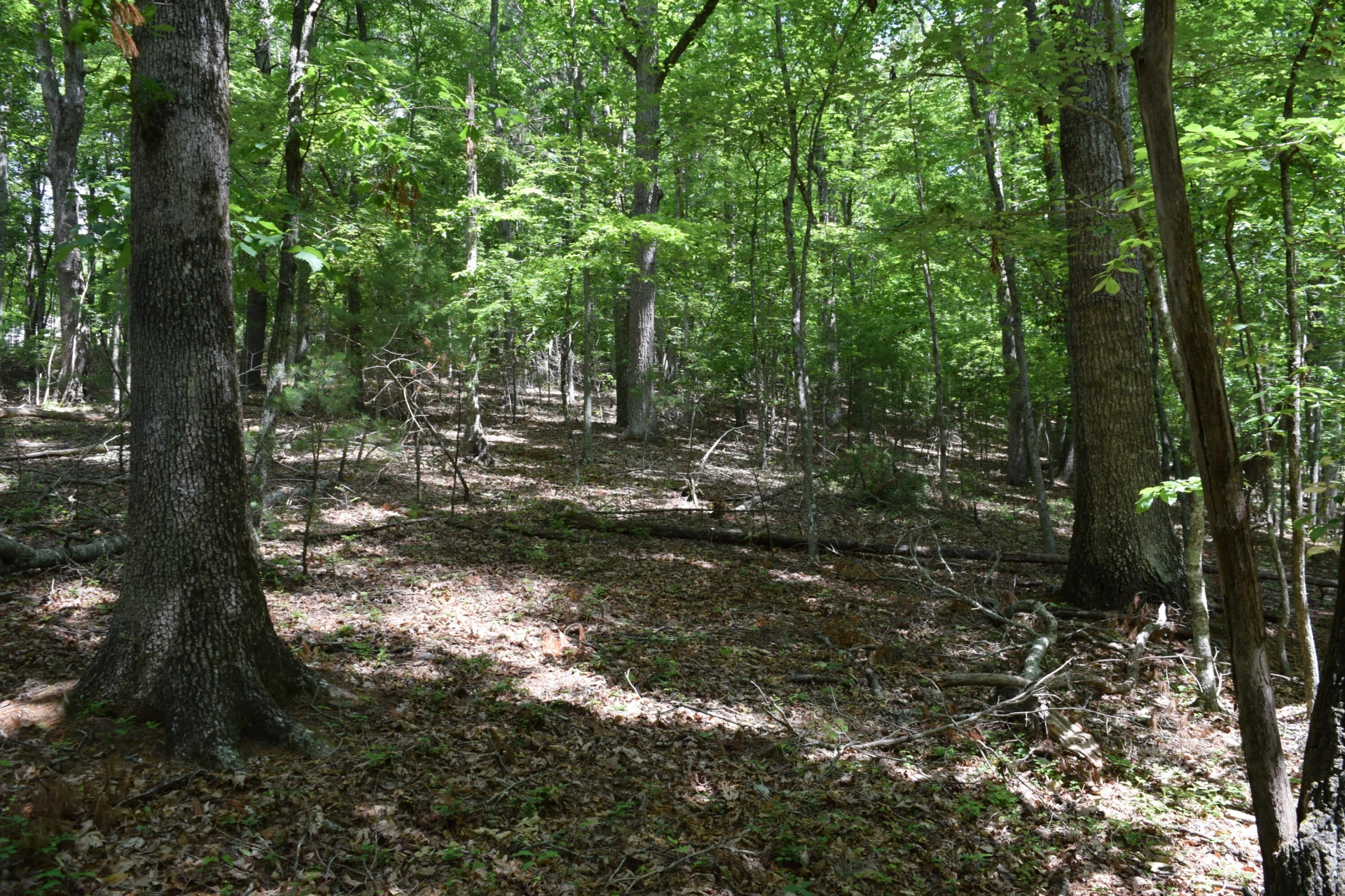 1866 Firehouse RD - Photo 71