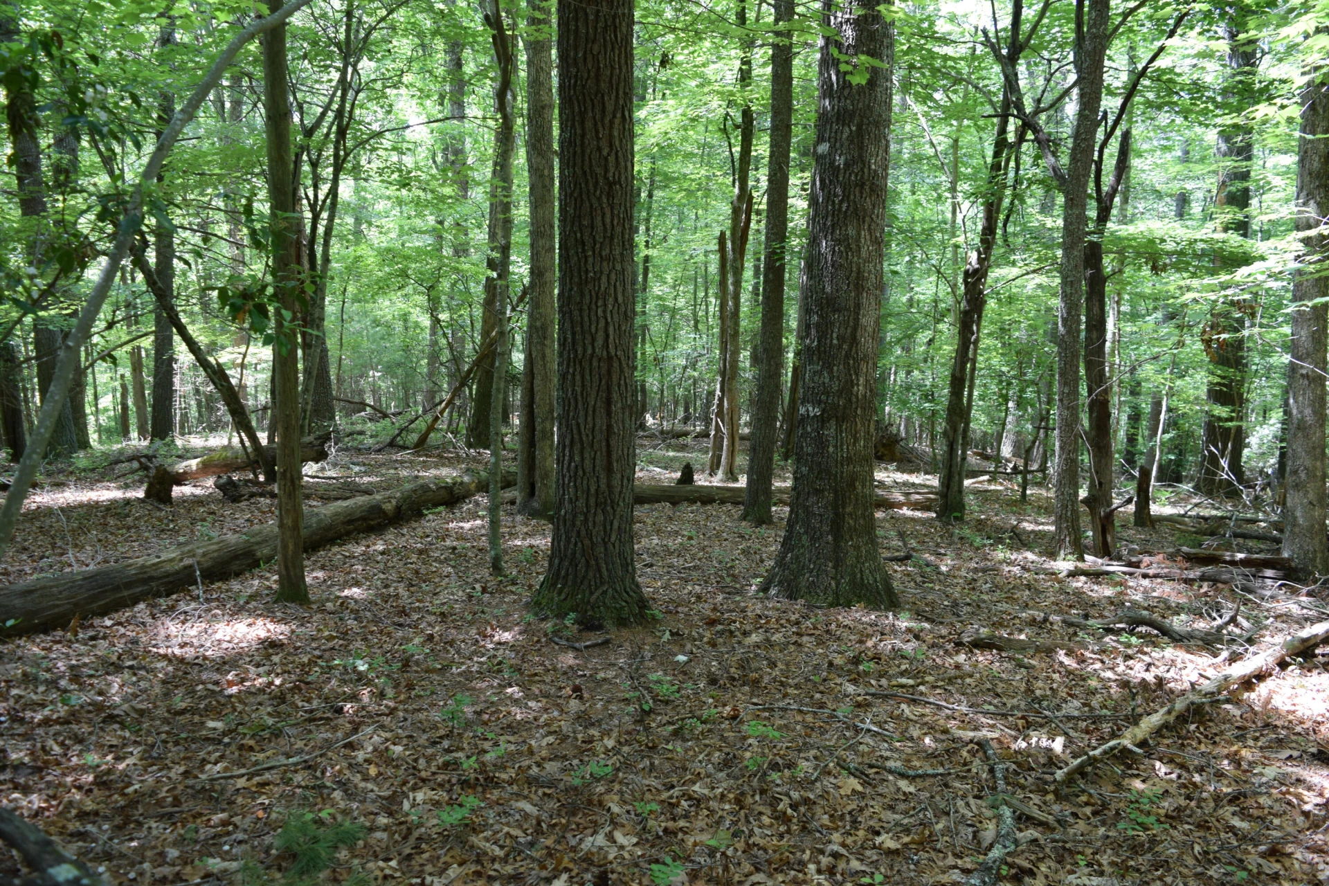 1866 Firehouse RD - Photo 73