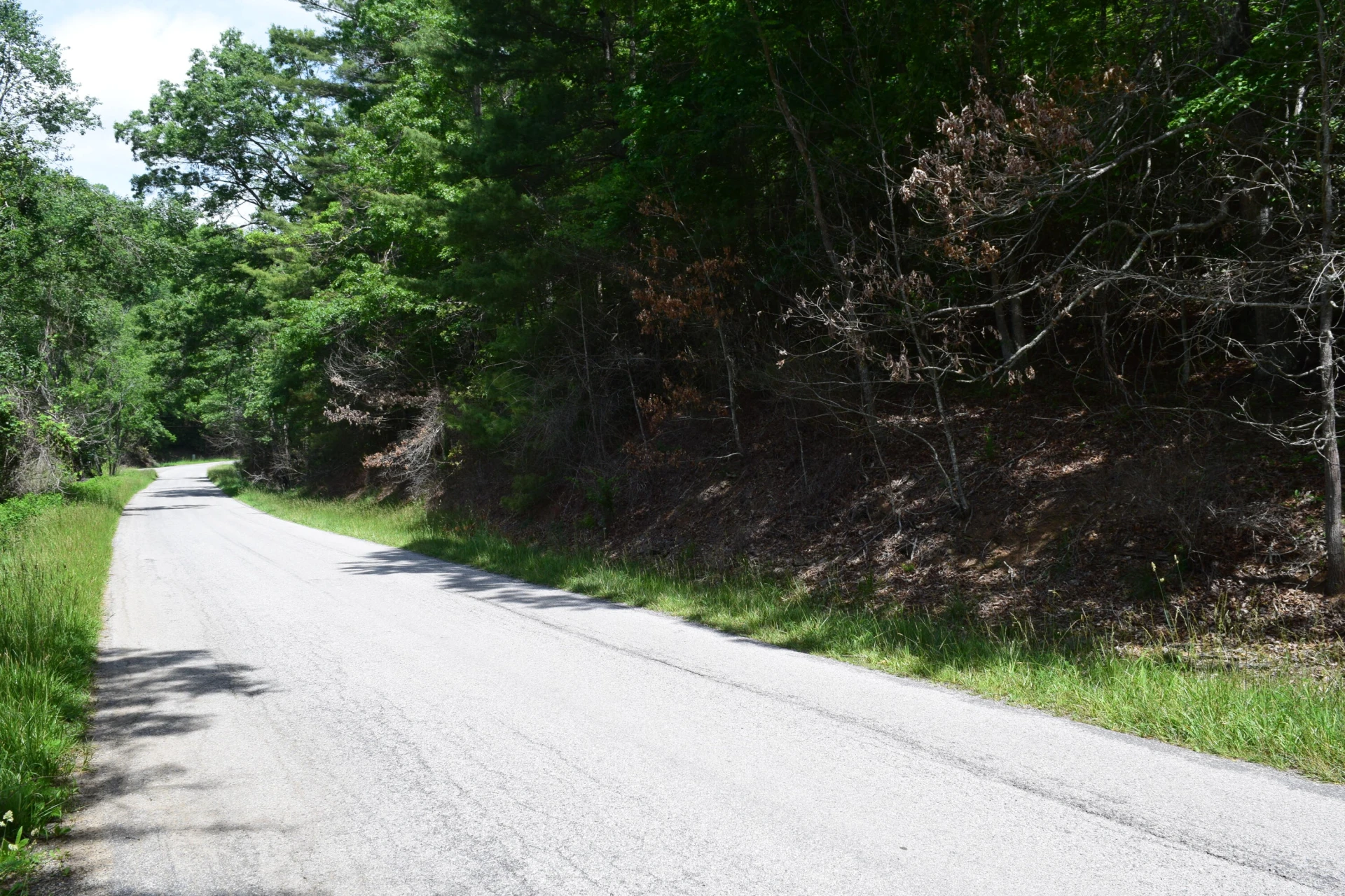 1866 Firehouse RD - Photo 75