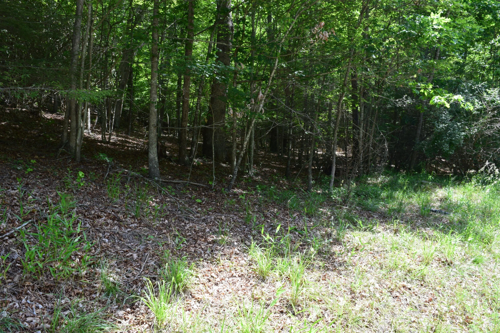 1866 Firehouse RD - Photo 76