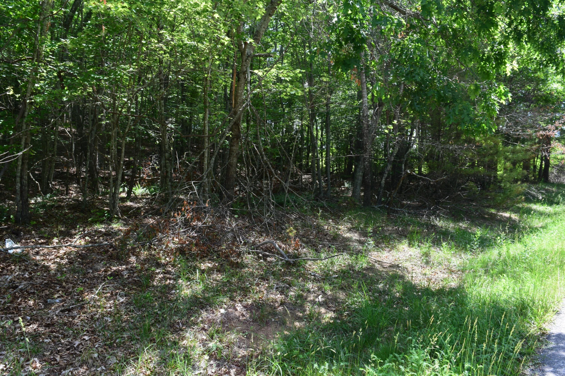 1866 Firehouse RD - Photo 77