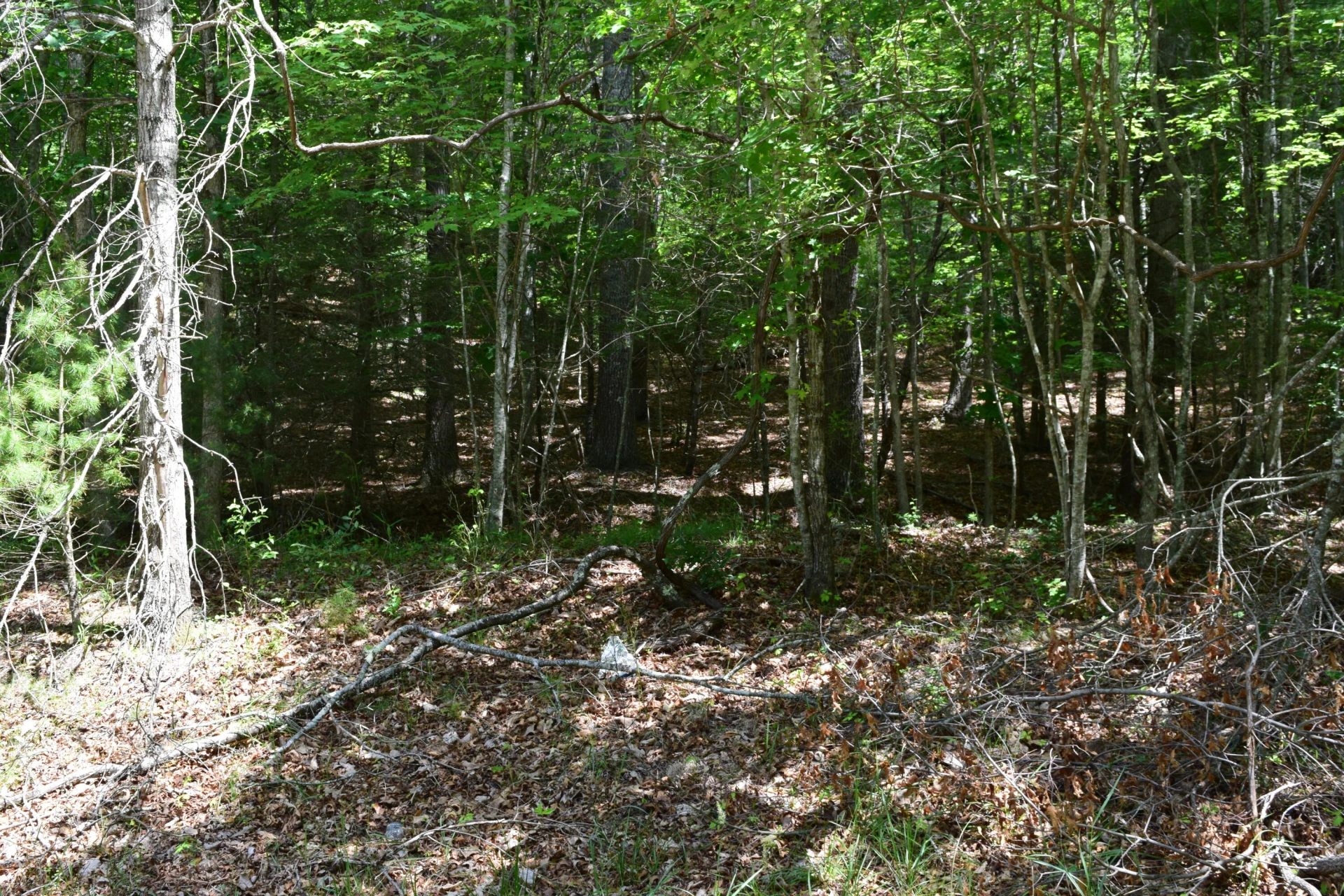 1866 Firehouse RD - Photo 78