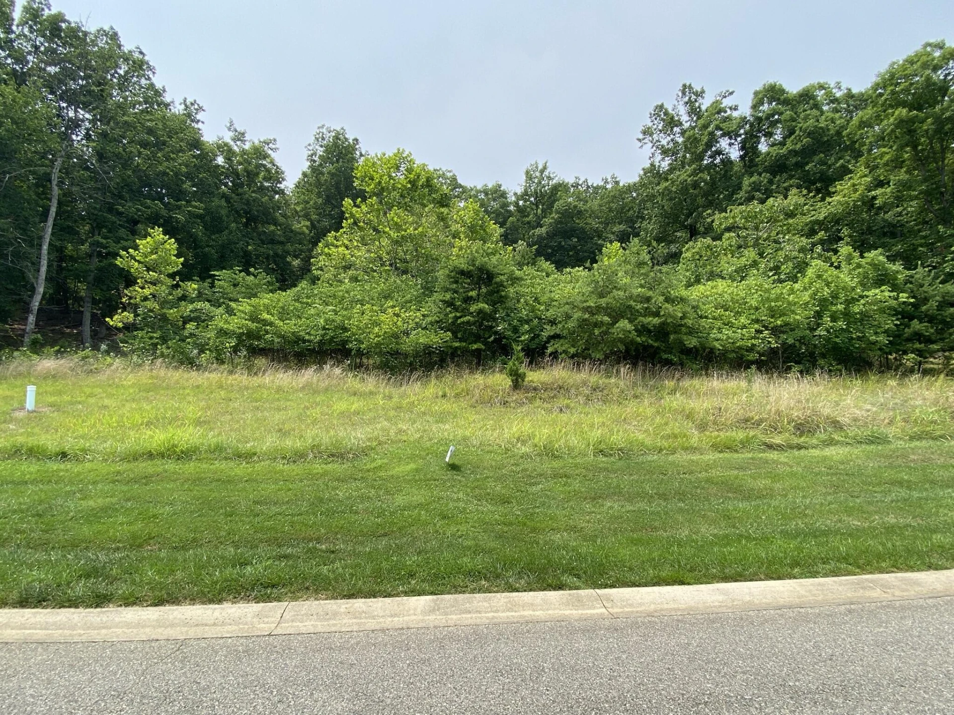 LOT 12 SUMMIT DR - Photo 2
