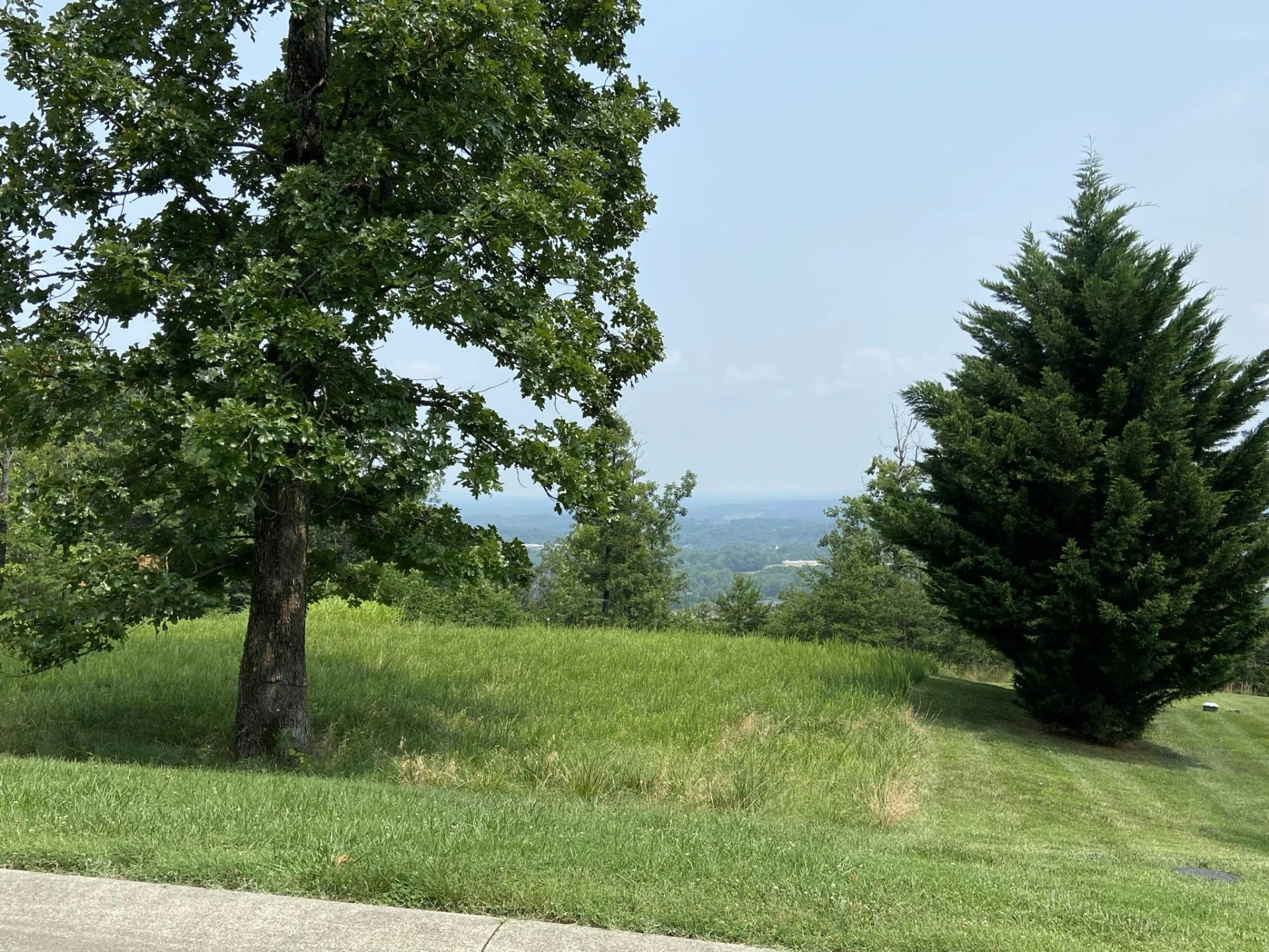 LOT 12 SUMMIT DR - Photo 3