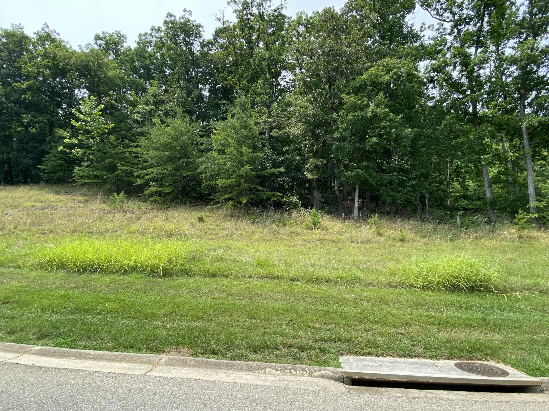 LOT 11 SUMMIT DR - Photo 2
