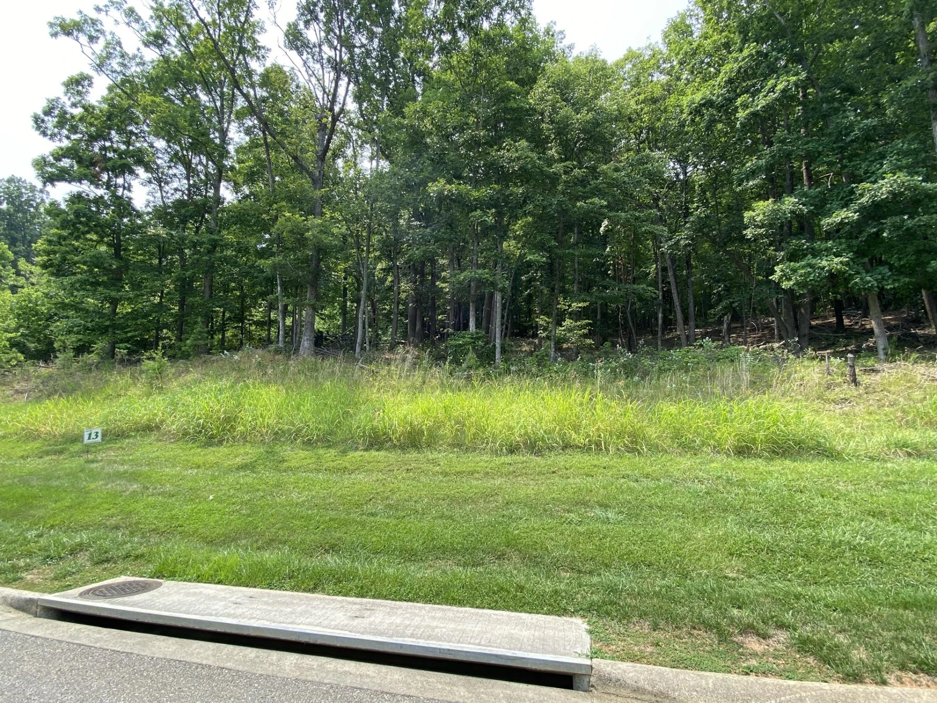 LOT 13 SUMMIT DR - Photo 2