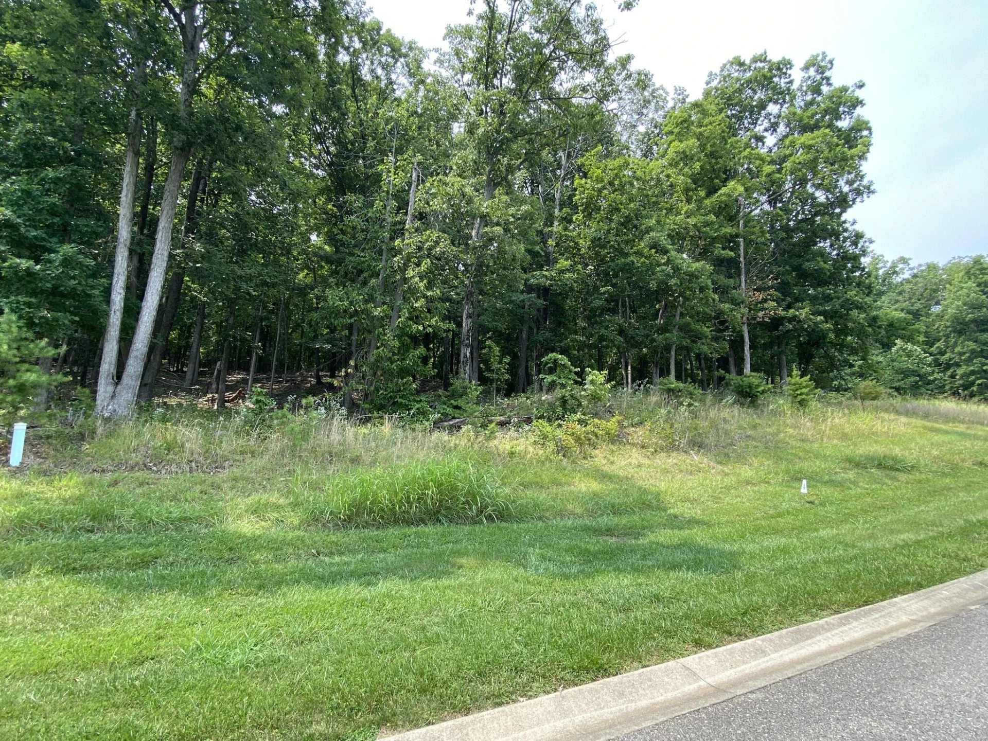 LOT 14 SUMMIT DR - Photo 2