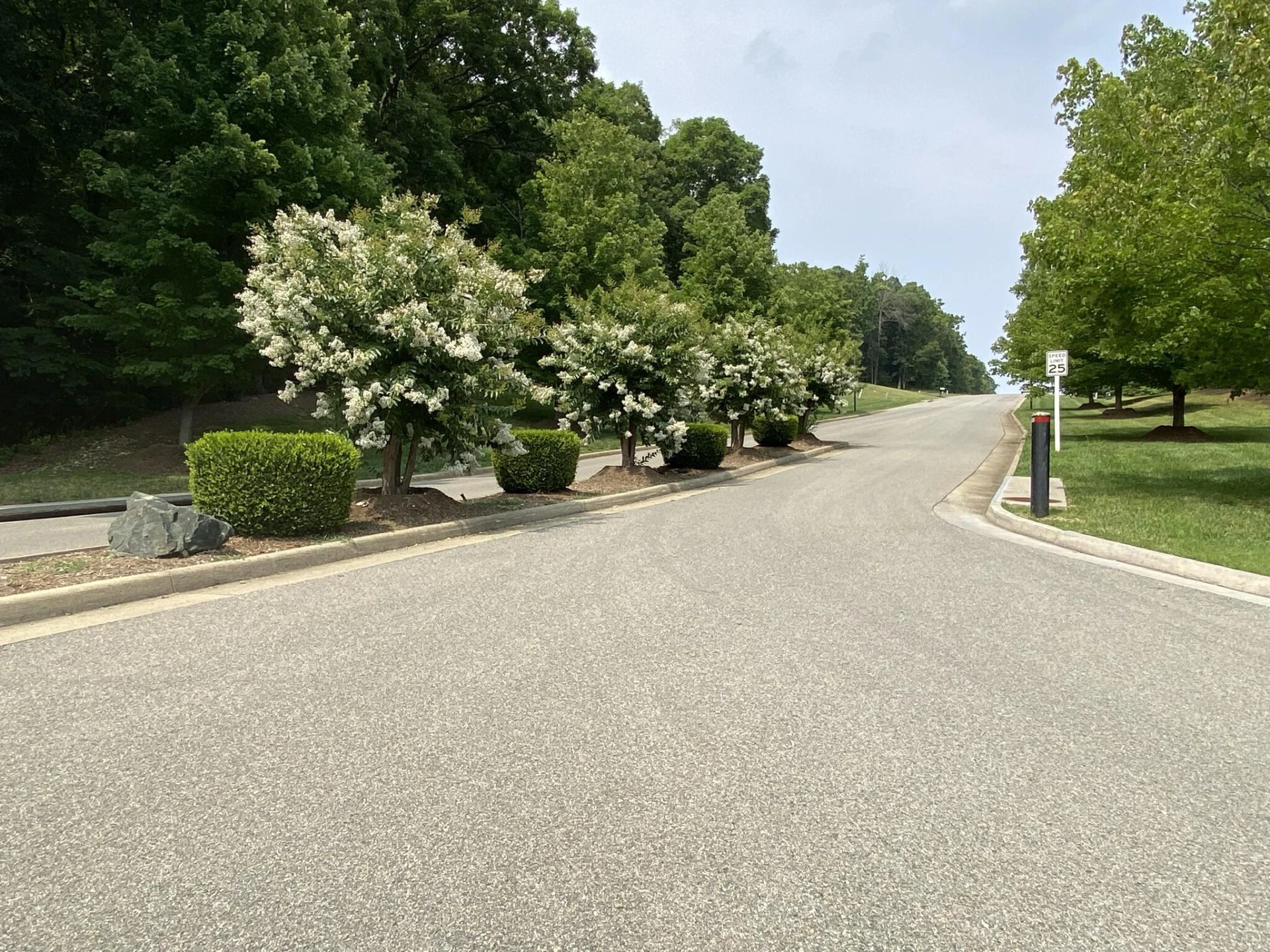 LOT 14 SUMMIT DR - Photo 8