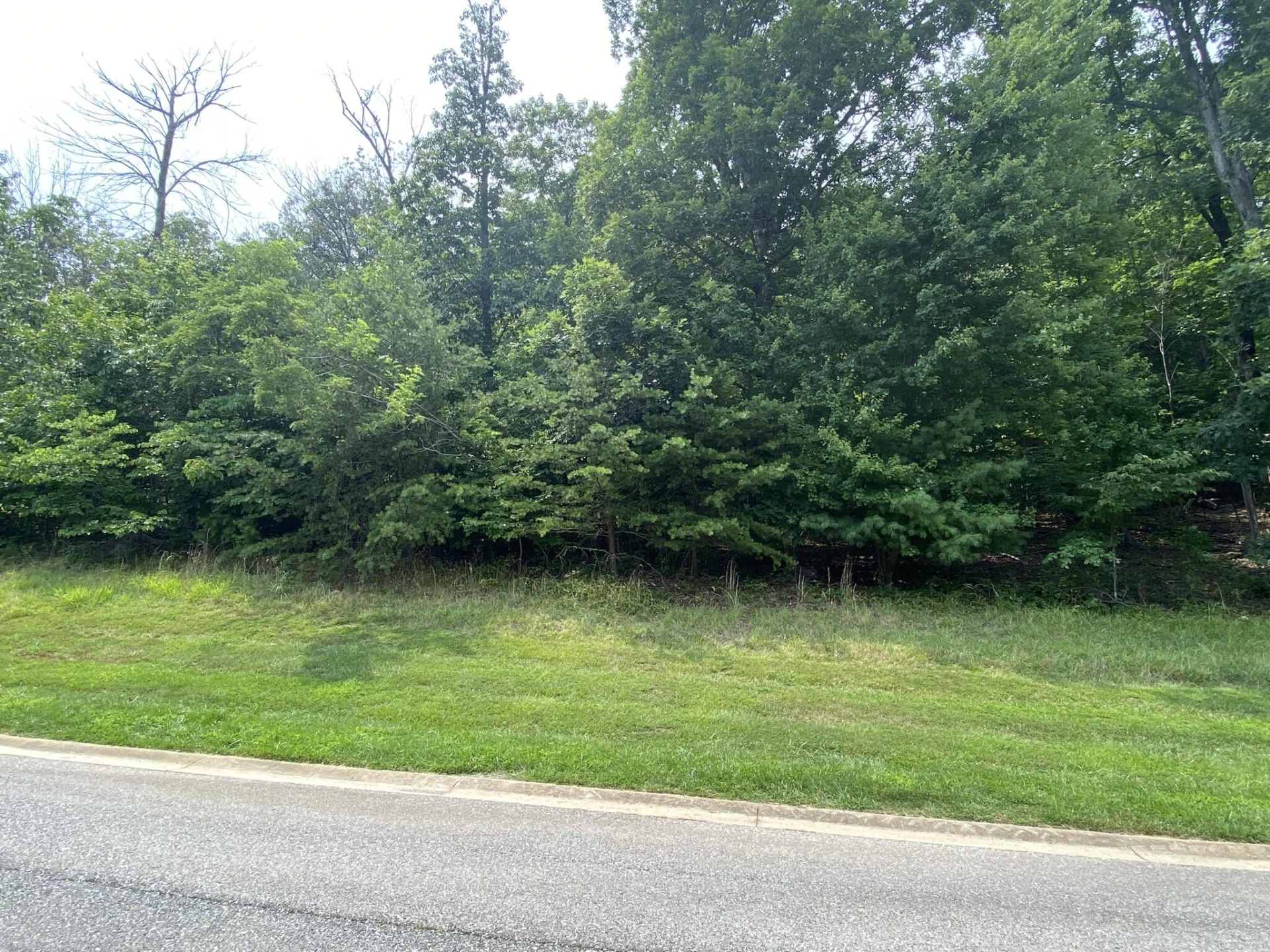 LOT 20 Summit DR