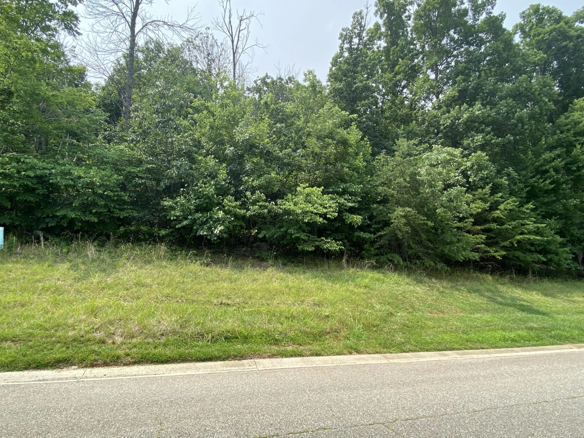 LOT 20 Summit DR - Photo 2