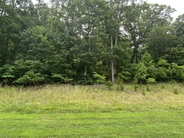 LOT 21 SUMMIT DR, Rocky Mount, VA, 24151