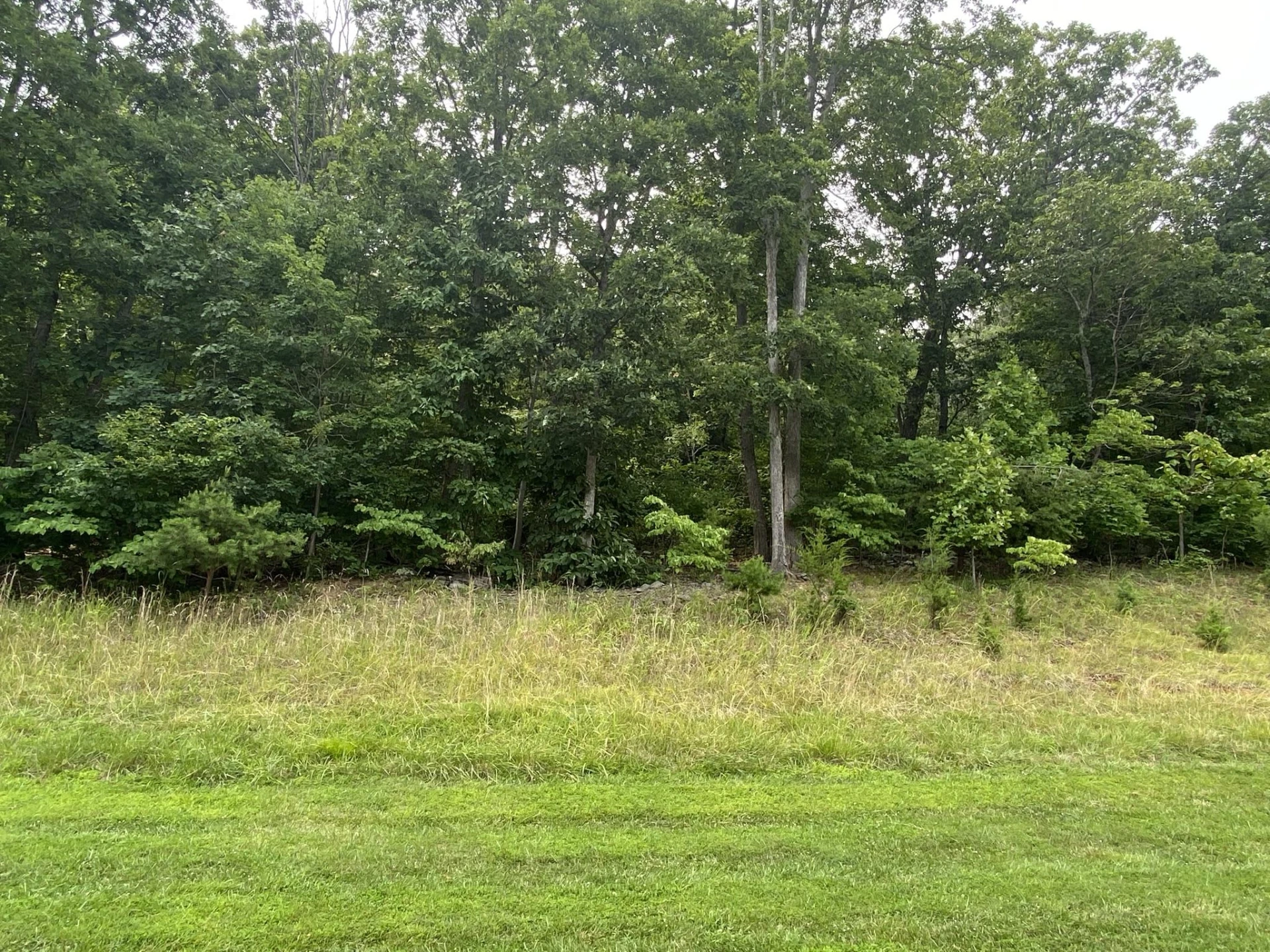 LOT 21 SUMMIT DR