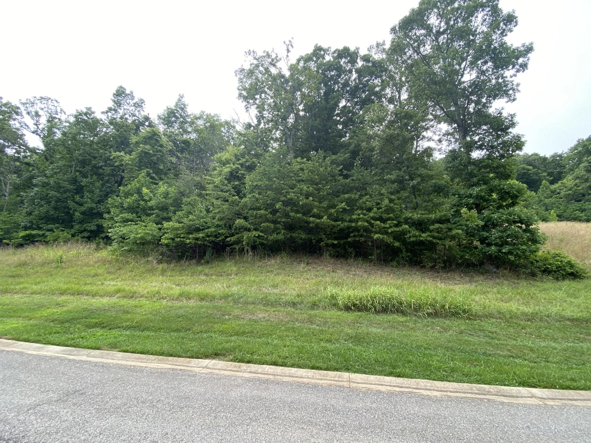 LOT 24 SUMMIT DR
