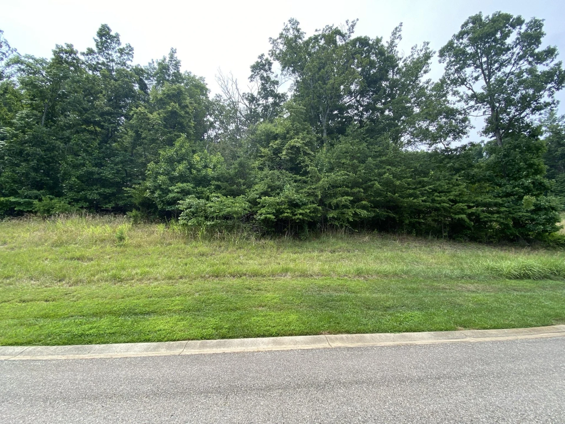 LOT 24 SUMMIT DR - Photo 2