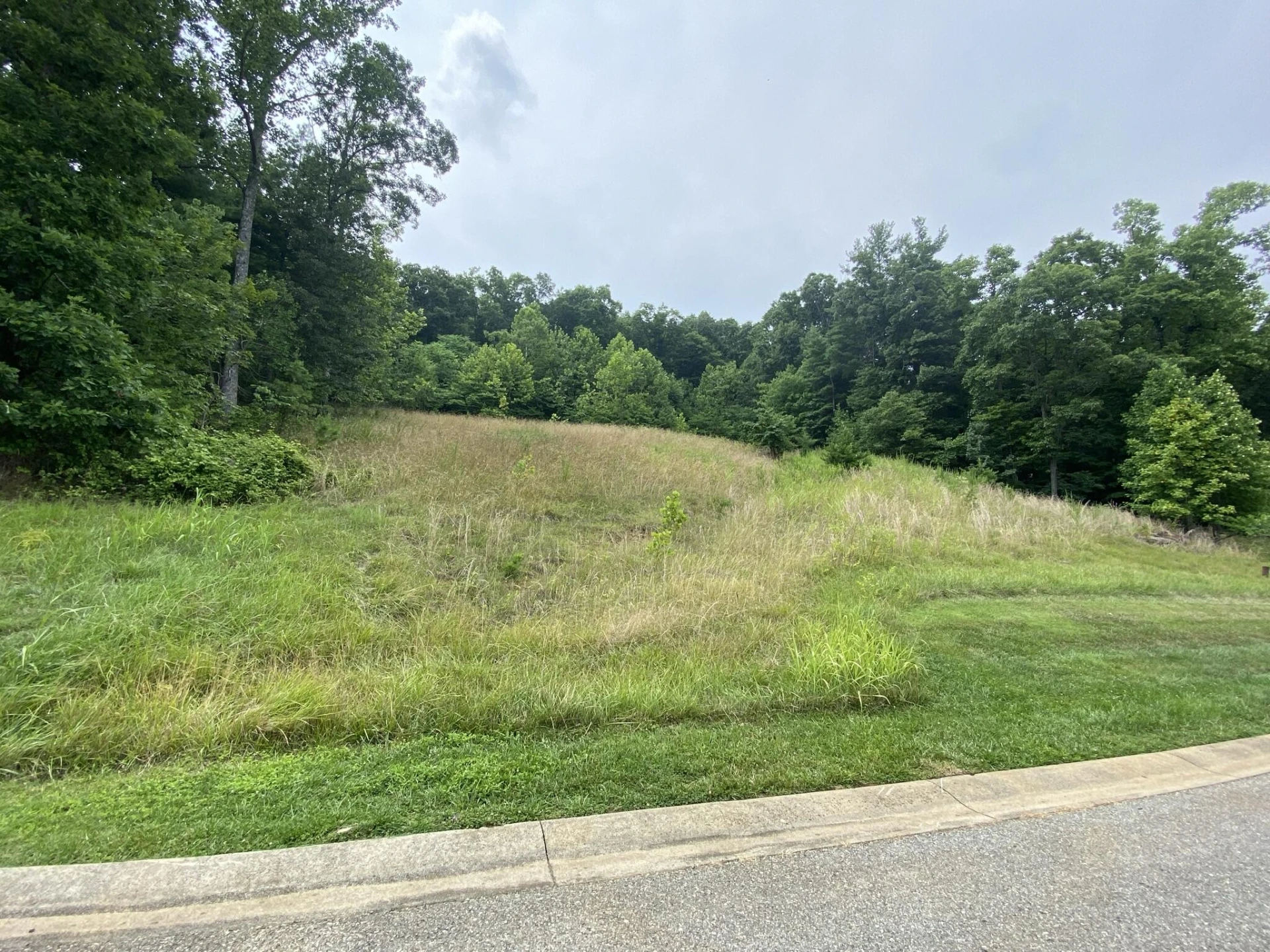 LOT 25 SUMMIT DR - Photo 2