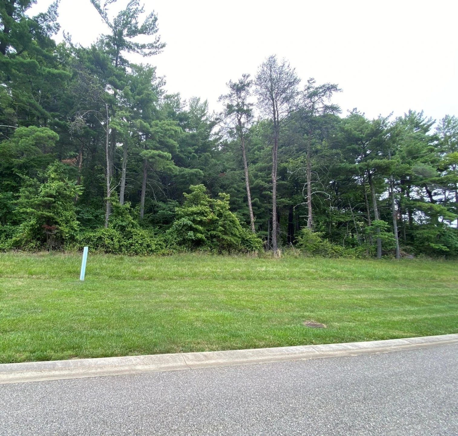 LOT 27 SUMMIT DR - Photo 2