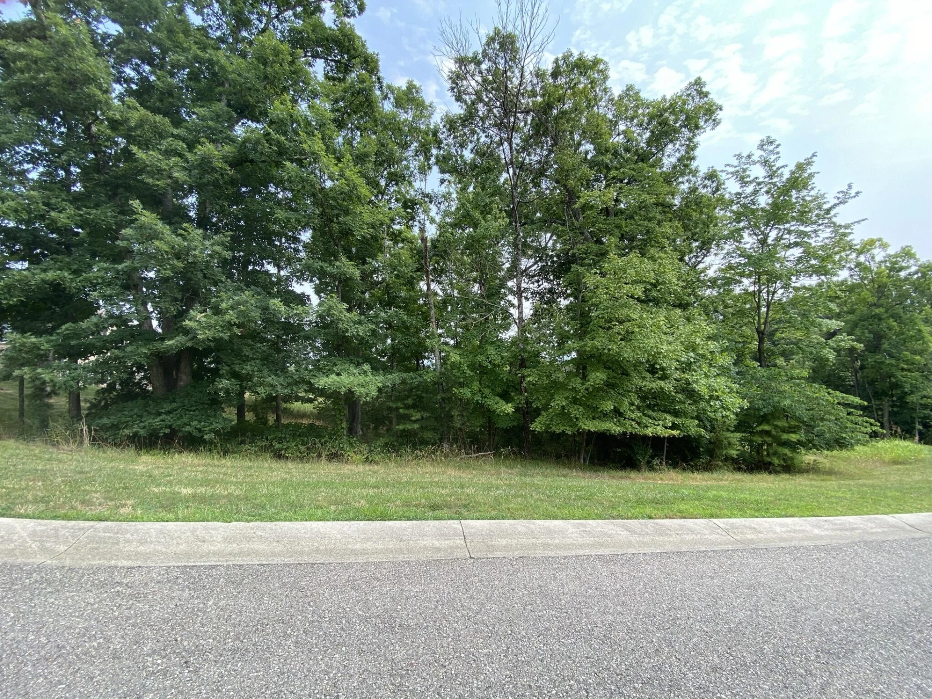 LOT 59 Summit DR