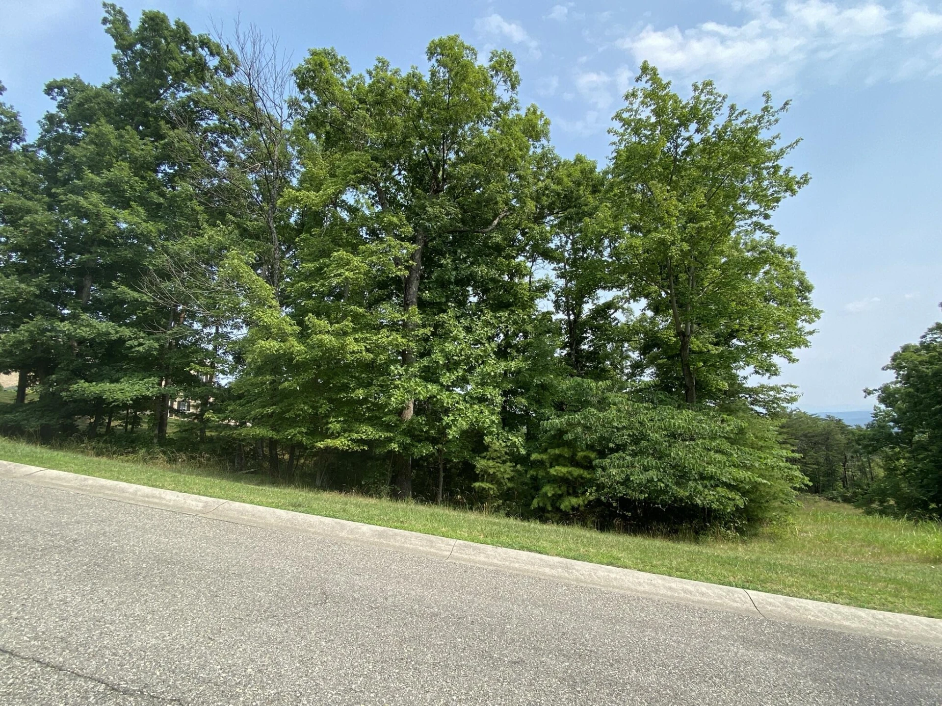 LOT 59 Summit DR - Photo 2