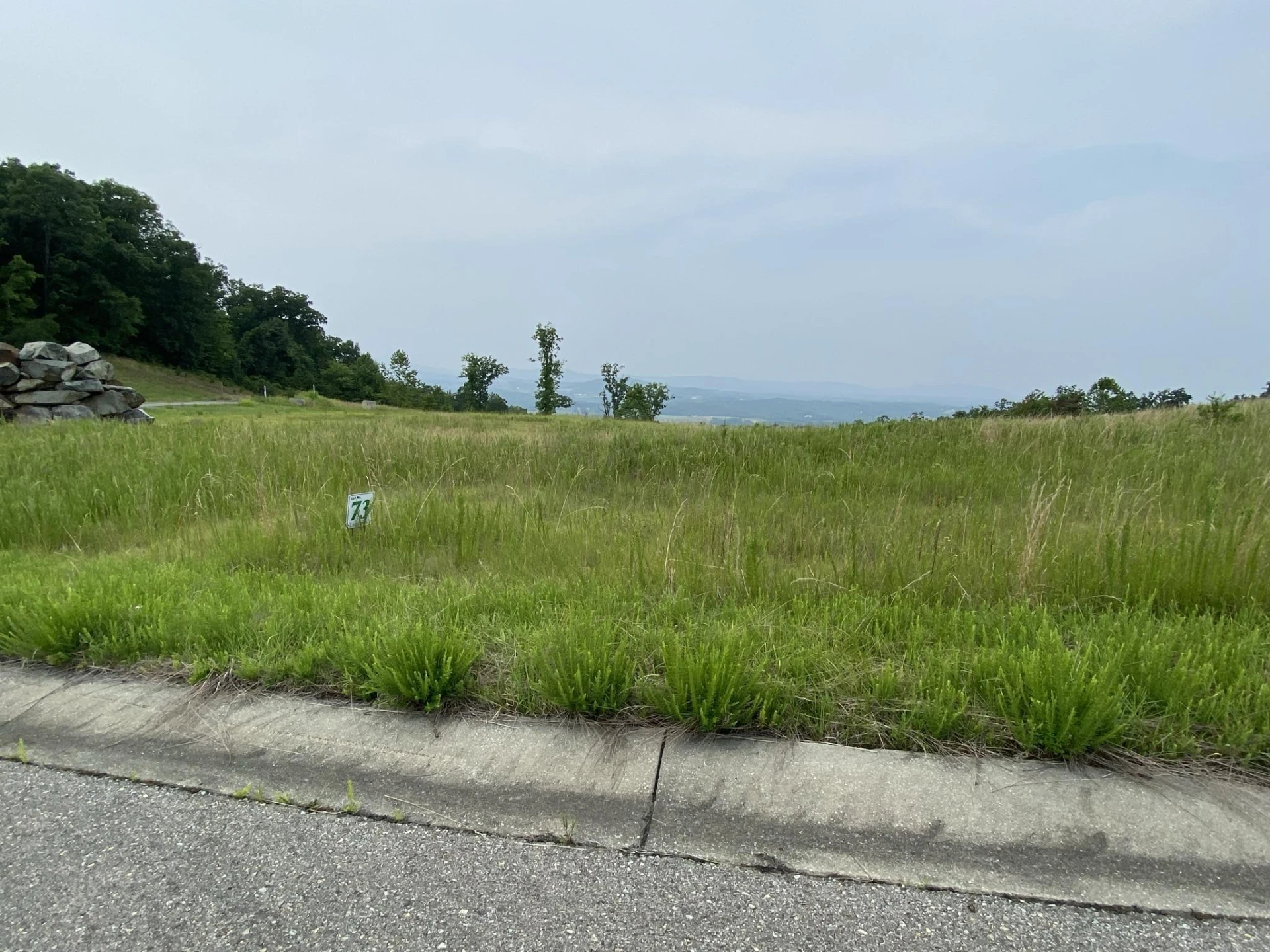LOT 73 Penny LN - Photo 2