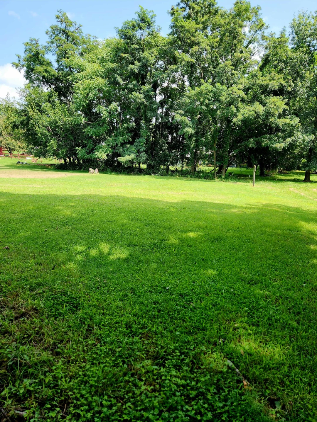 505 Hilltop DR - Photo 15