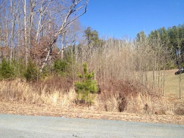 Lot 21 Sunview CIR