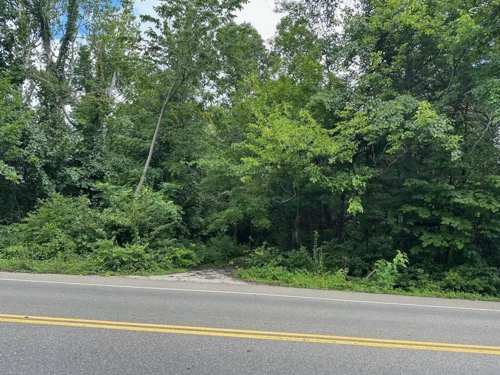 0 Woodhaven RD - Photo 2